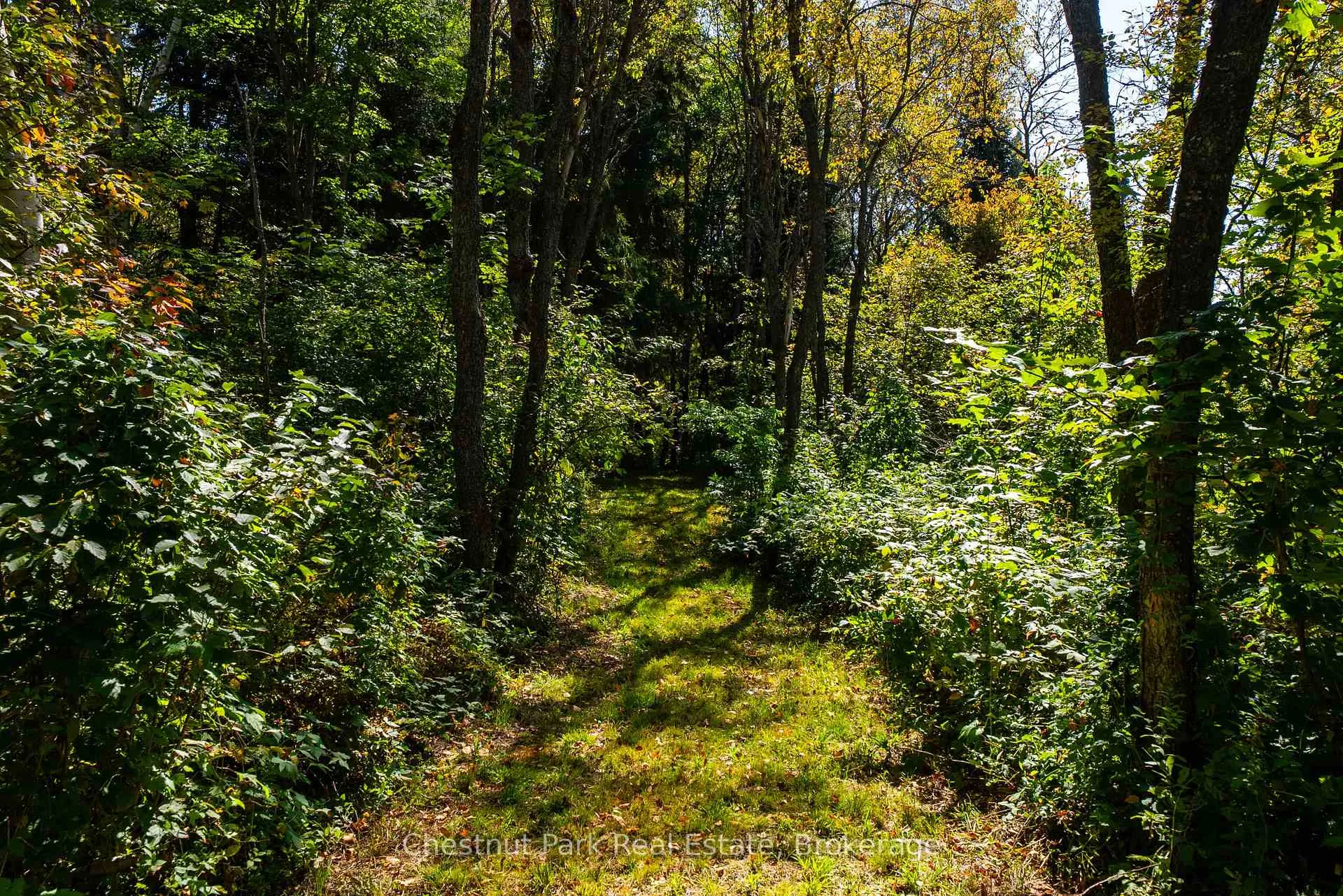 Photo 45 of 00 Deer Lake Road, Perry, Emsdale — HOMEH