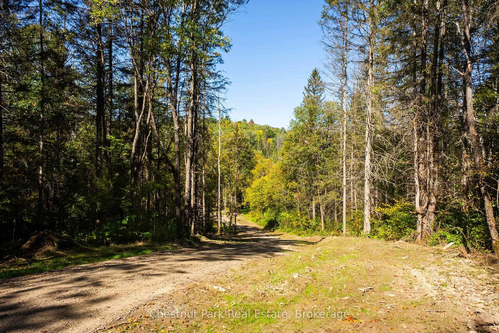 Photo 50 of 00 Deer Lake Road, Perry, Emsdale — HOMEH