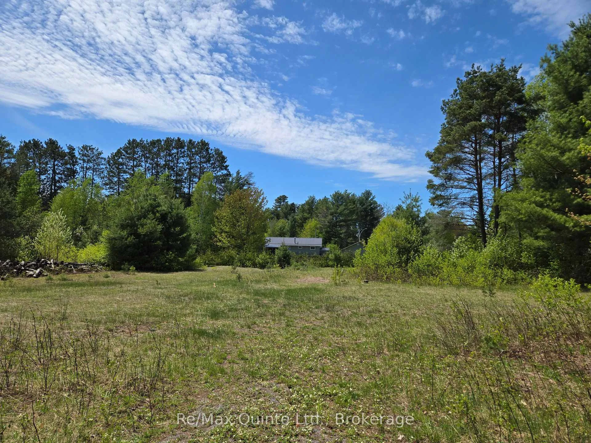 Photo 5 of 127 Lloyd Street E, Addington Highlands — HOMEH