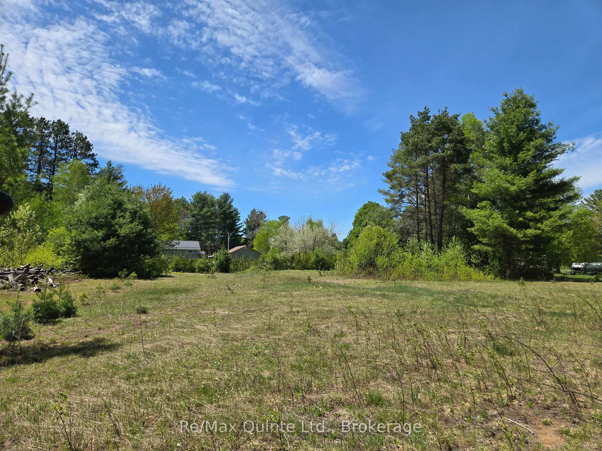 Photo 6 of 127 Lloyd Street E, Addington Highlands — HOMEH