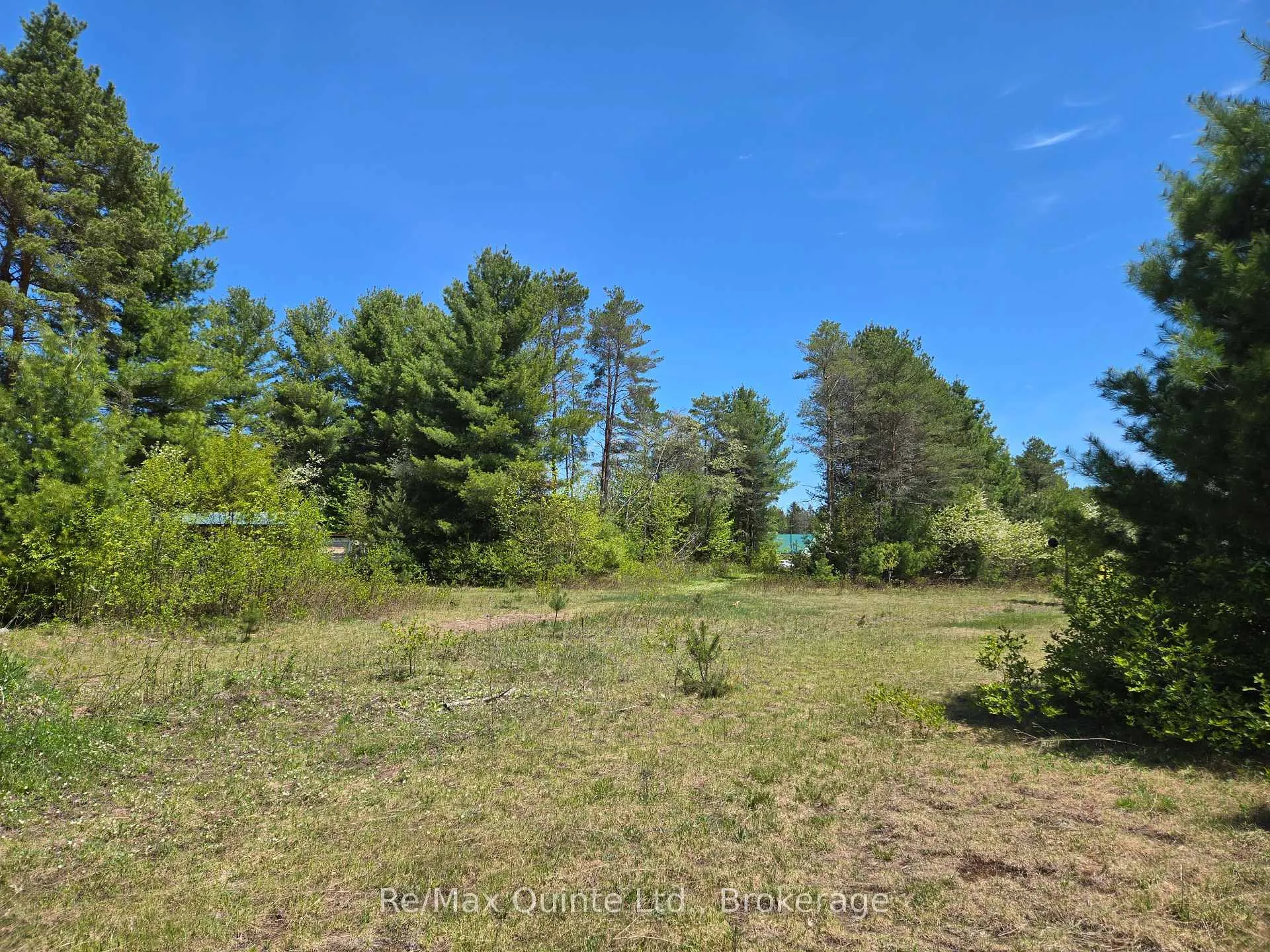 Photo 7 of 127 Lloyd Street E, Addington Highlands — HOMEH