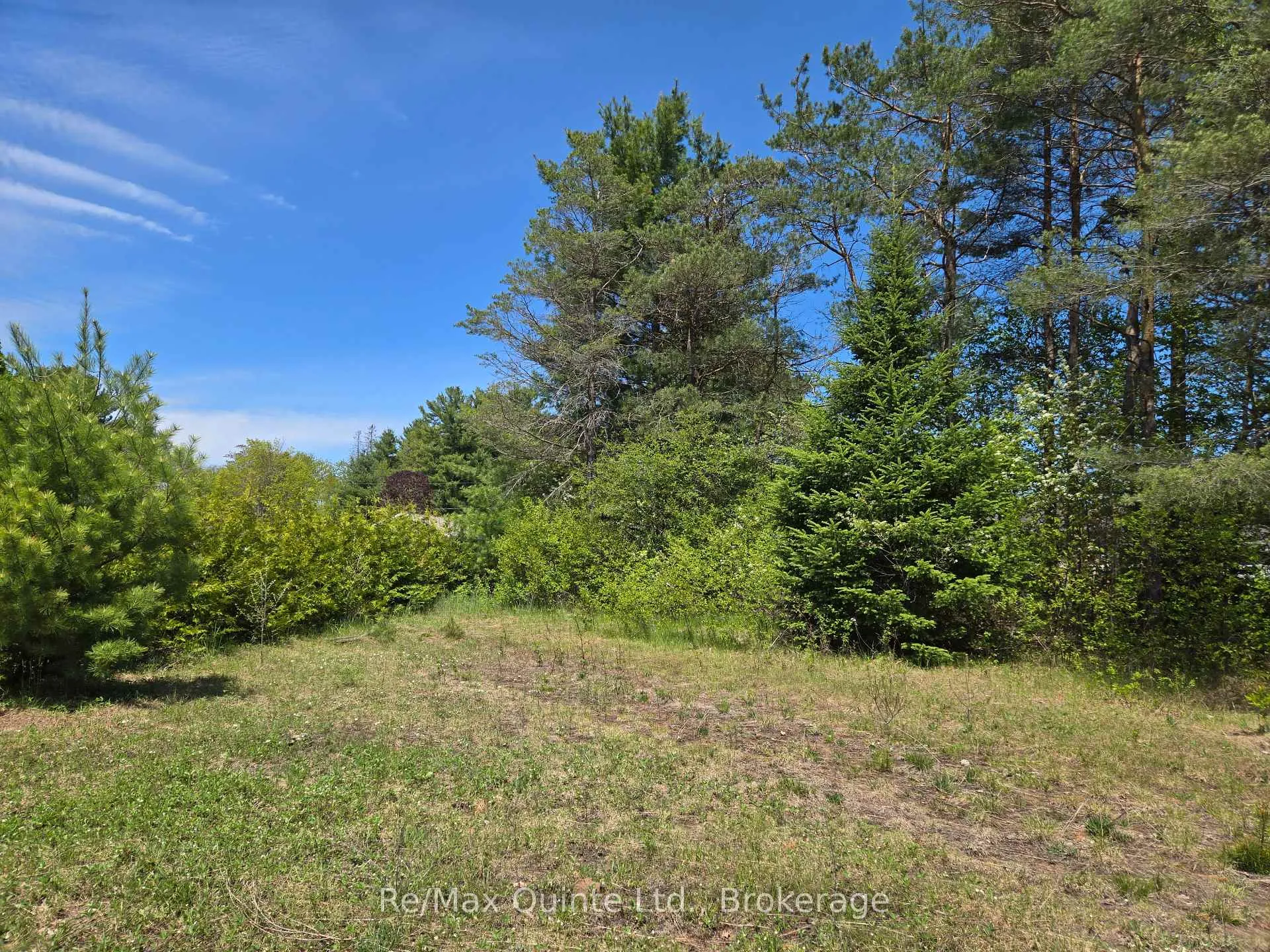 Photo 8 of 127 Lloyd Street E, Addington Highlands — HOMEH