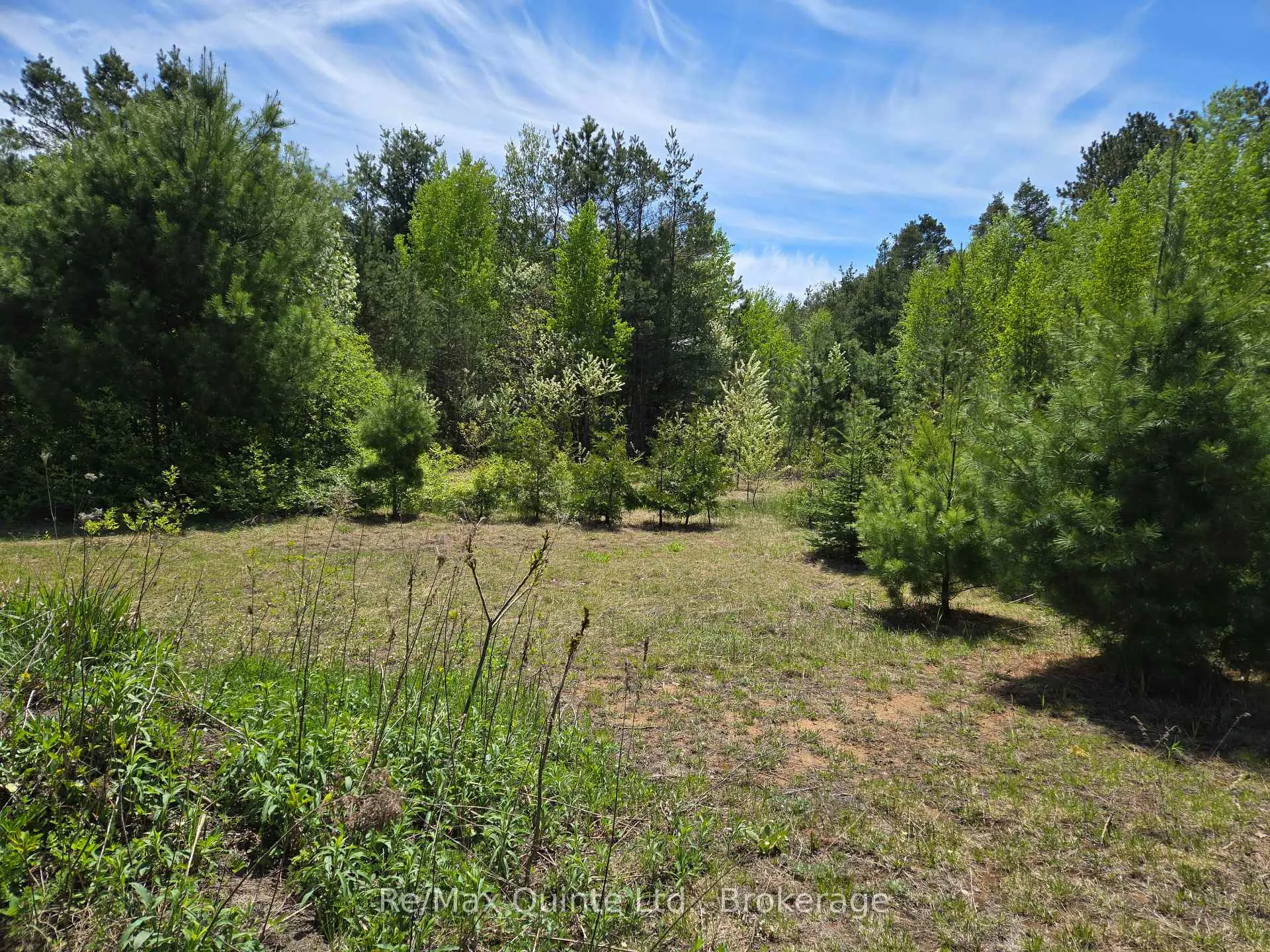 Photo 9 of 127 Lloyd Street E, Addington Highlands — HOMEH