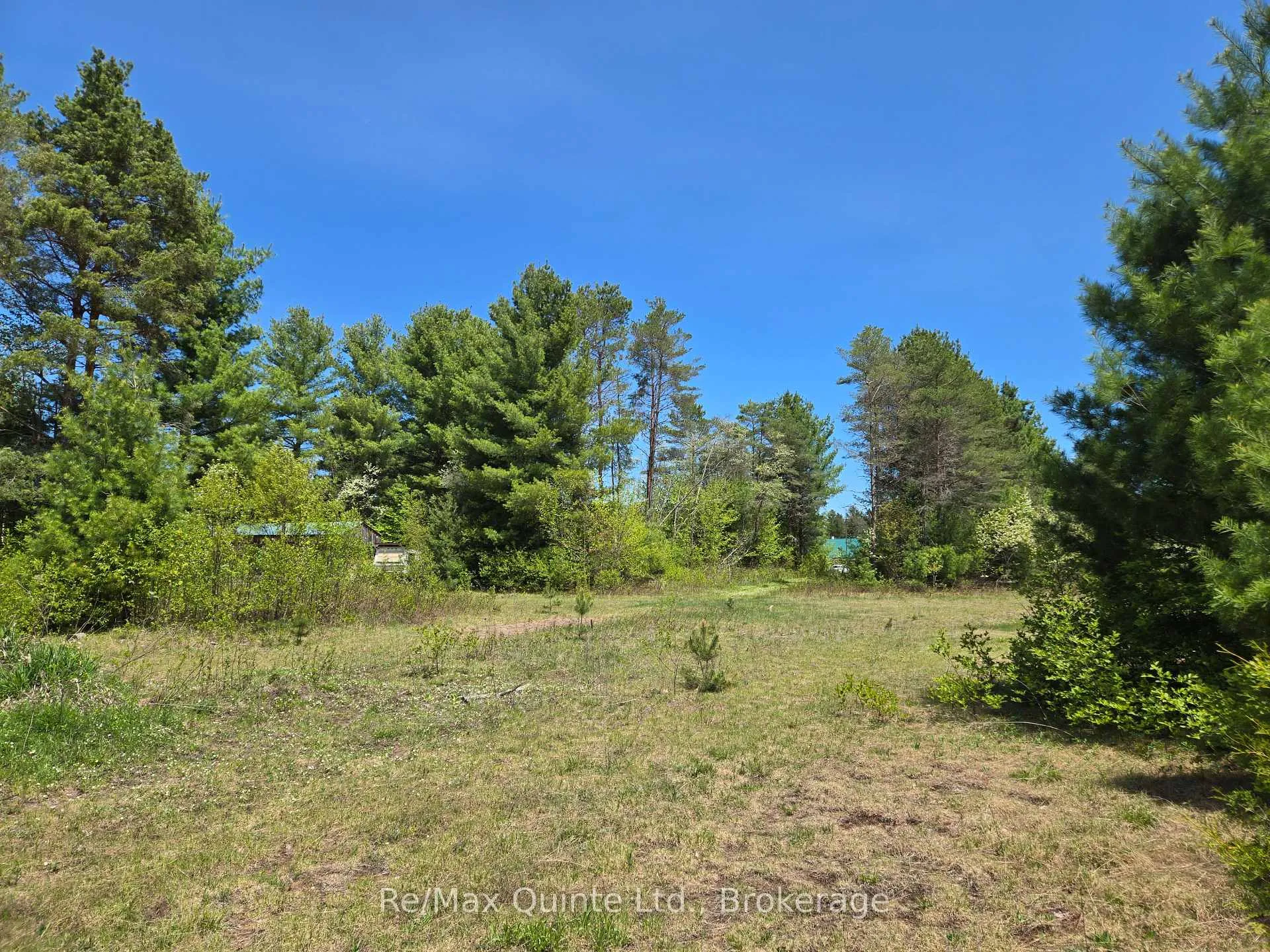 Photo 11 of 127 Lloyd Street E, Addington Highlands — HOMEH