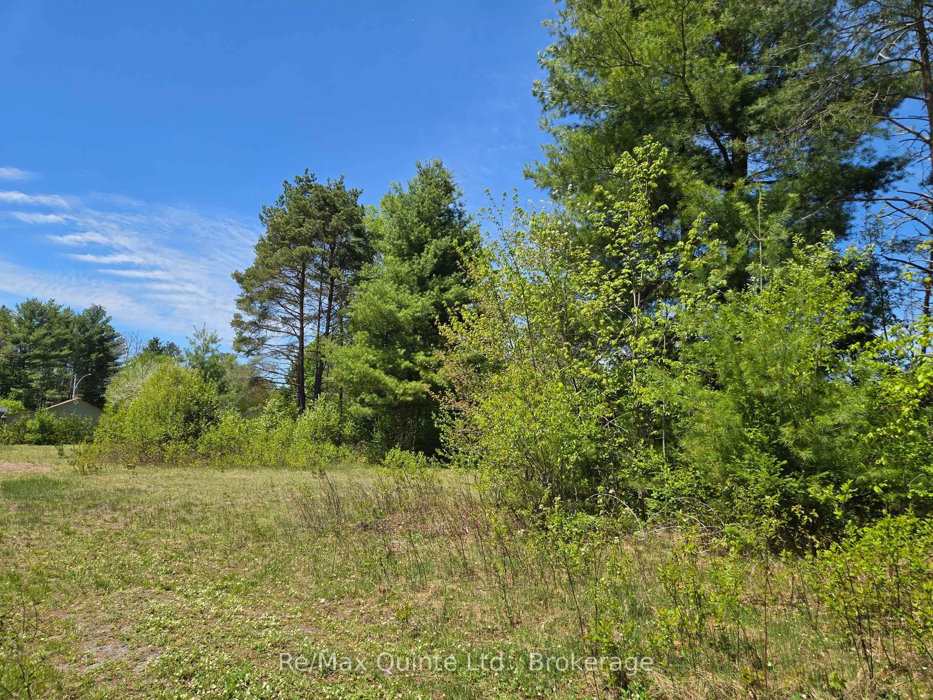 Photo 12 of 127 Lloyd Street E, Addington Highlands — HOMEH