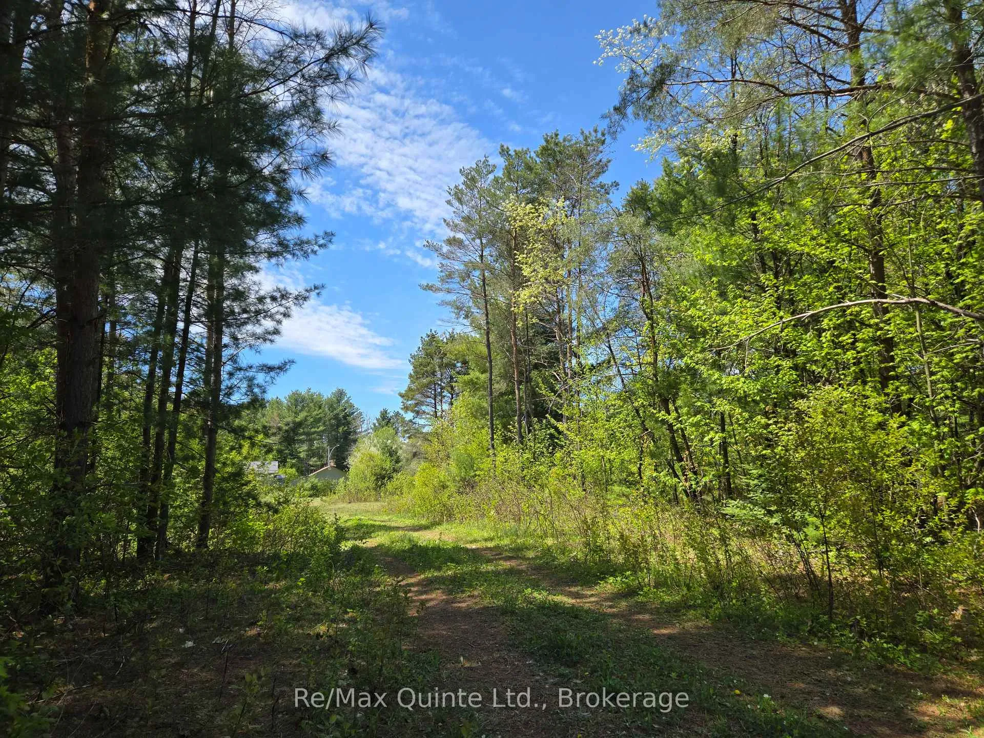 Photo 13 of 127 Lloyd Street E, Addington Highlands — HOMEH