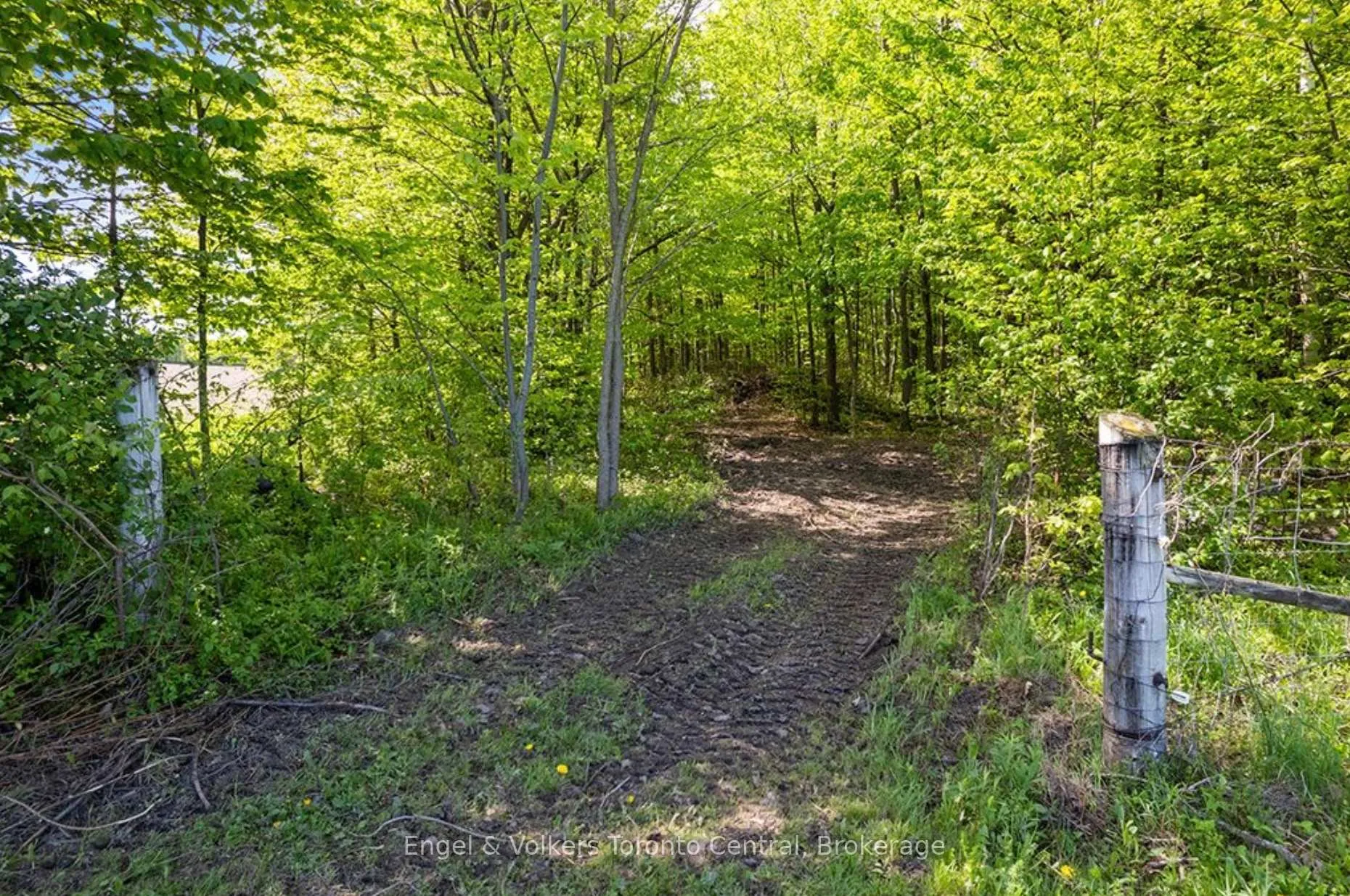 Photo 32 of 268 Fox Ridge Road, Grey Highlands — HOMEH