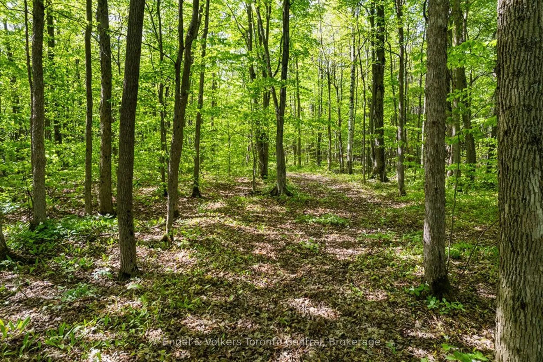 Photo 33 of 268 Fox Ridge Road, Grey Highlands — HOMEH