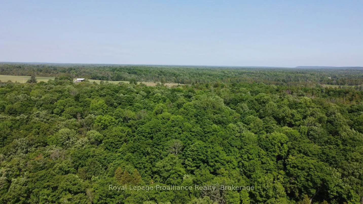 Photo 7 of 5966 Hwy 506 Road, Frontenac, Frontenac North — HOMEH
