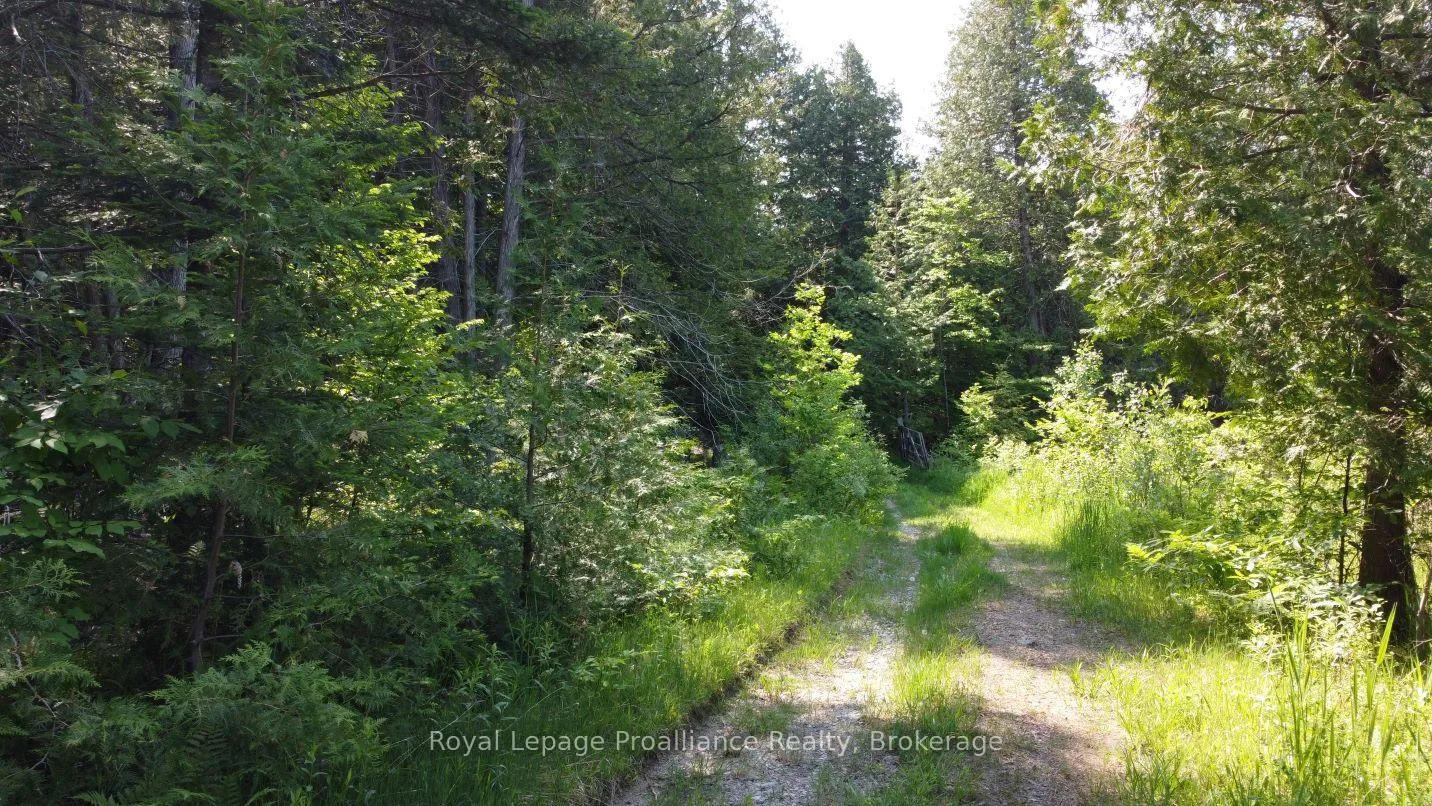 Photo 9 of 5966 Hwy 506 Road, Frontenac, Frontenac North — HOMEH