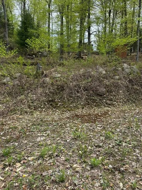 Photo of TBD Bushwolf Lake Road