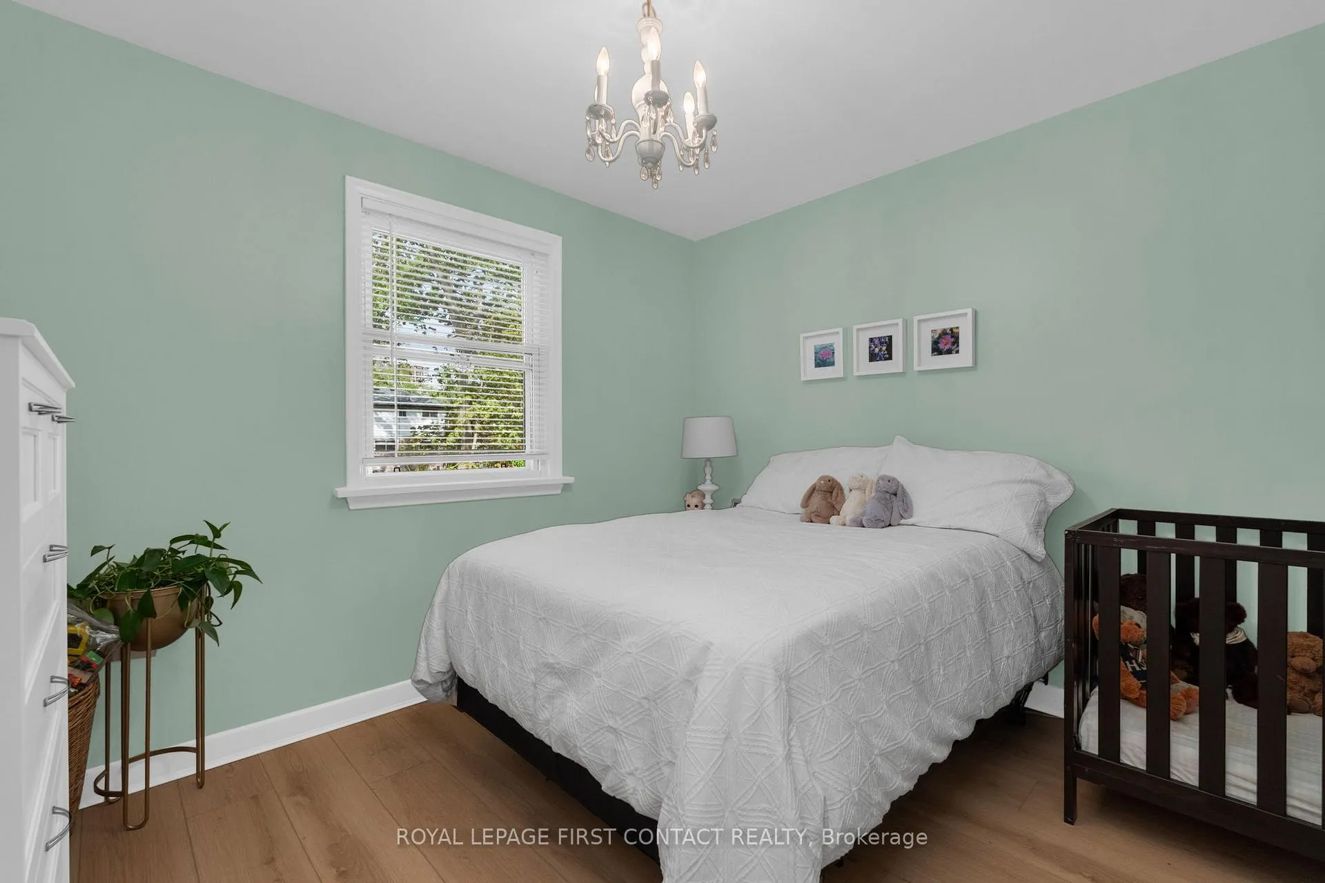 Photo 18 of 20 Newton Street, Barrie, Wellington — HOMEH