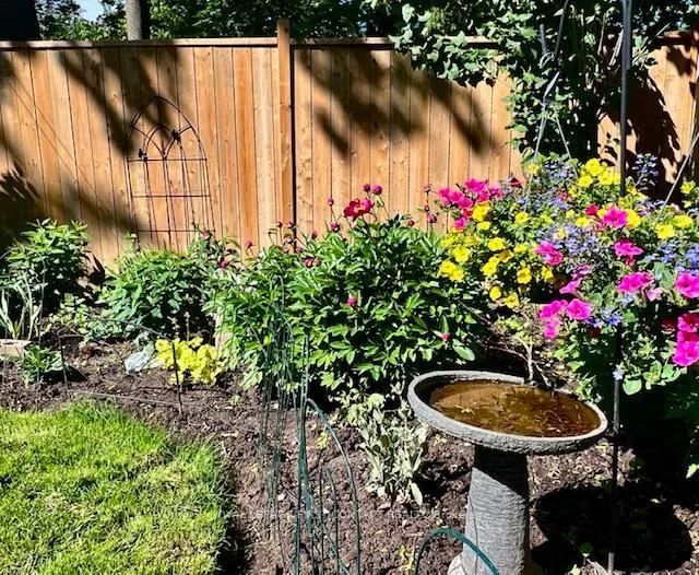 Photo 33 of 20 Newton Street, Barrie, Wellington — HOMEH