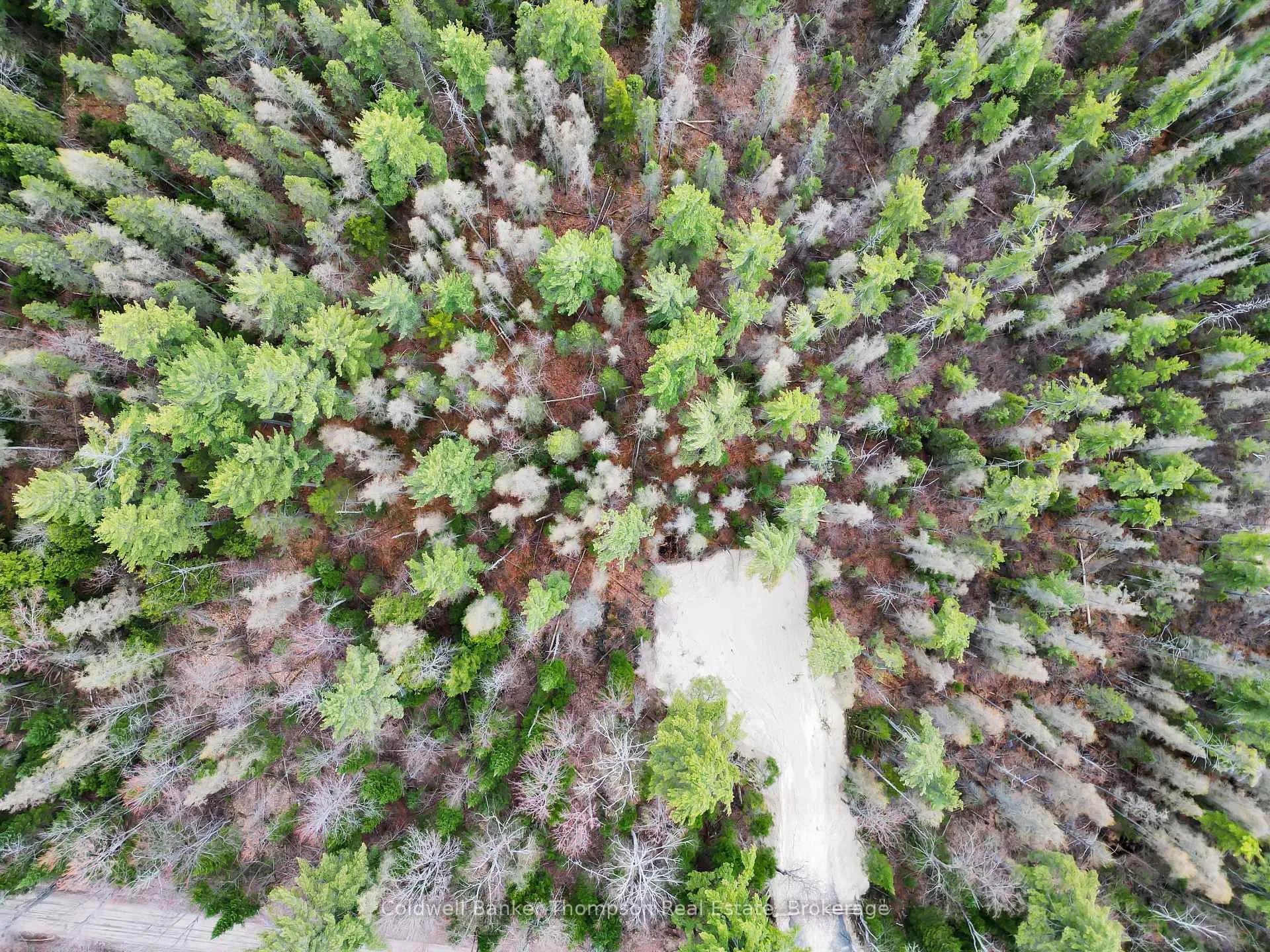 Photo 7 of PART 6 Axe Lake Road, McMurrich/Monteith, Monteith — HOMEH