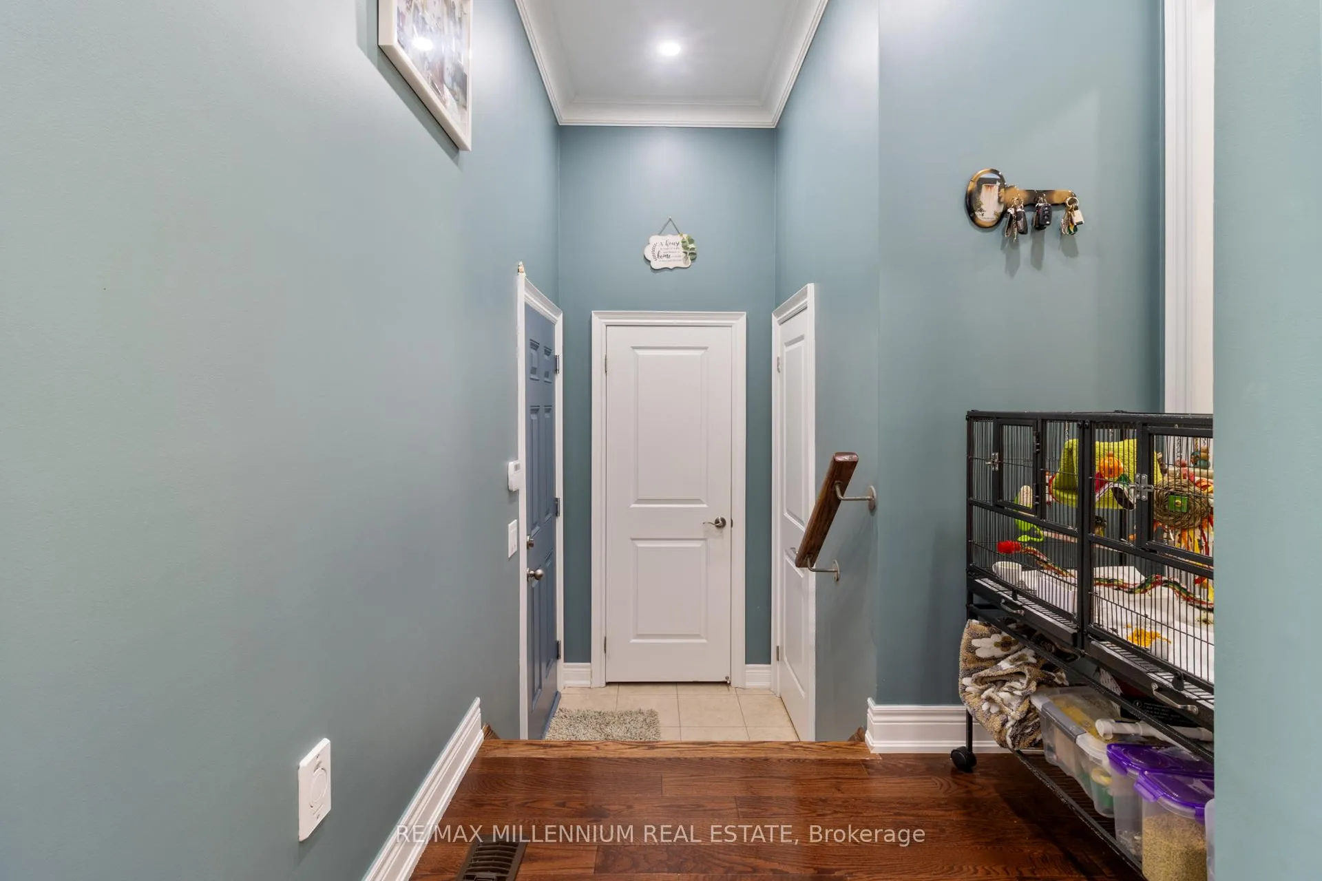 Photo 18 of 6 Trentonian Street, Brampton, Sandringham-Wellington North — HOMEH