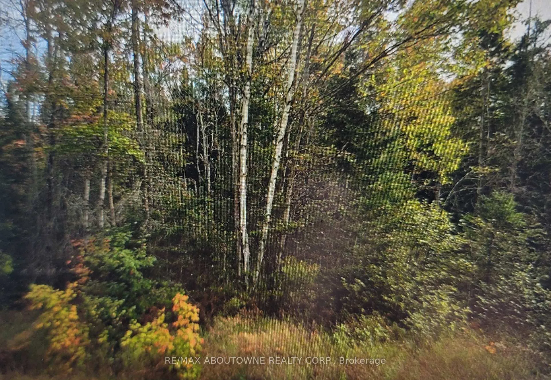 Photo 1 of 780 LOT 8 520N Highway, Whitestone — HOMEH
