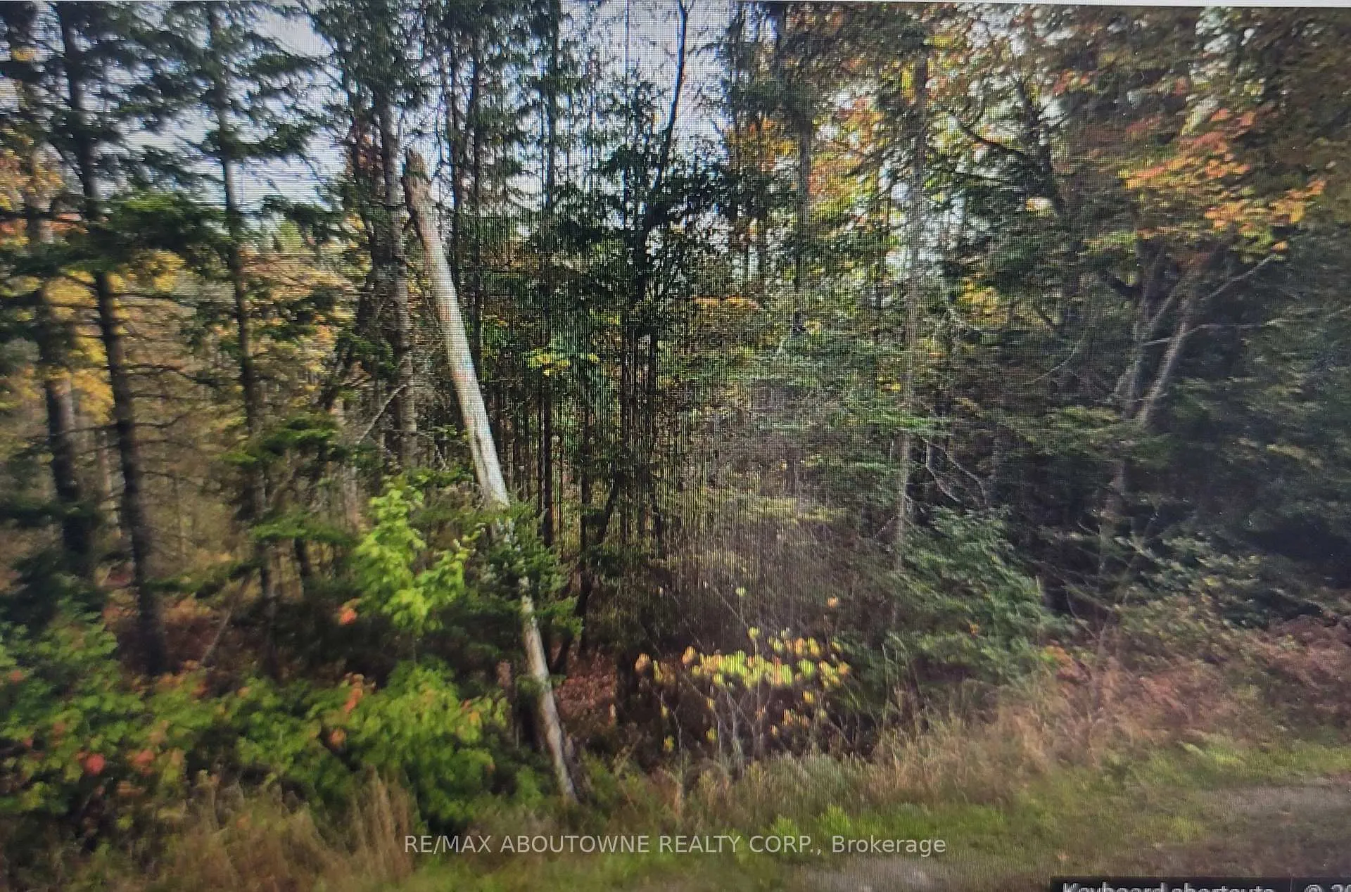 Photo 2 of 780 LOT 8 520N Highway, Whitestone — HOMEH