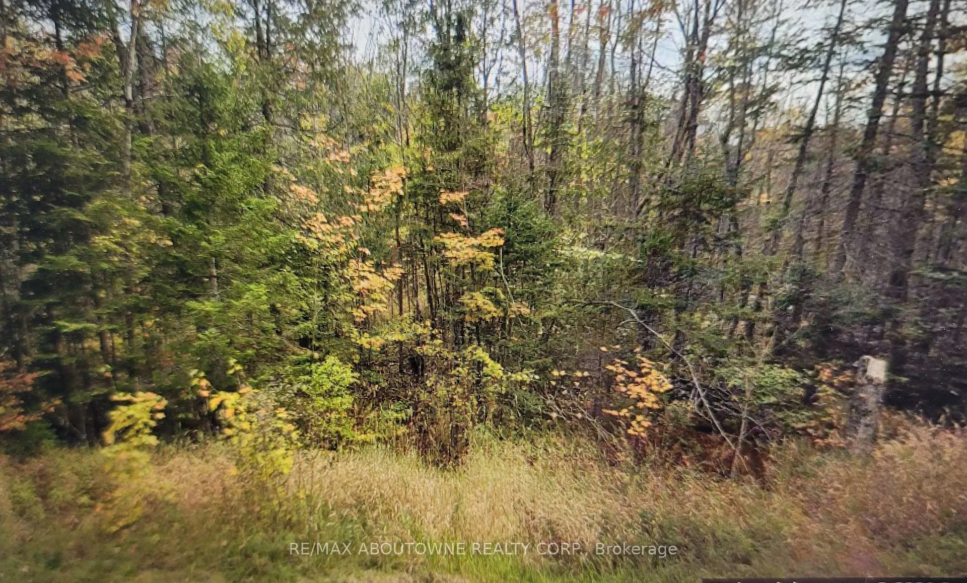 Photo 3 of 780 LOT 8 520N Highway, Whitestone — HOMEH