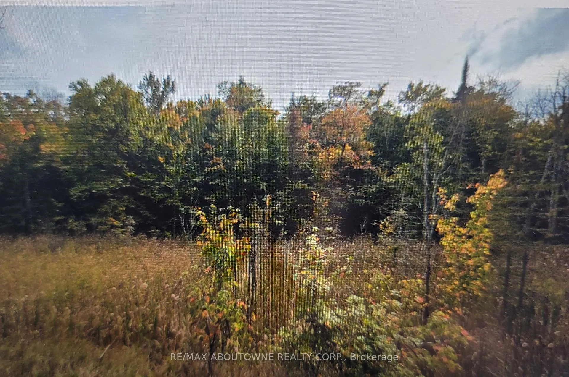 Front of 780 Lot 7 Hwy 520N