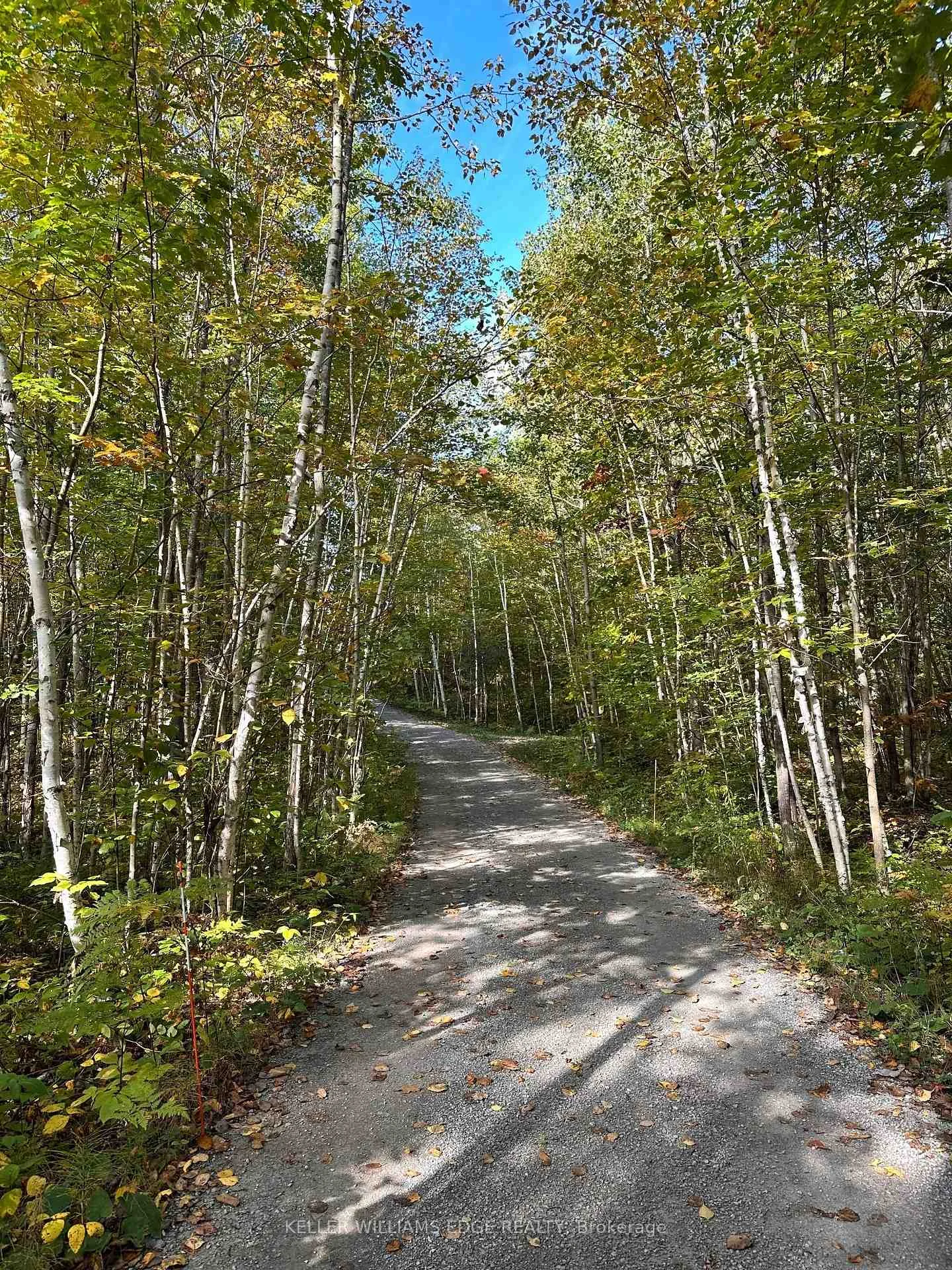 Photo 3 of 216 Smooth Rock Road, Georgian Bay, Baxter — HOMEH