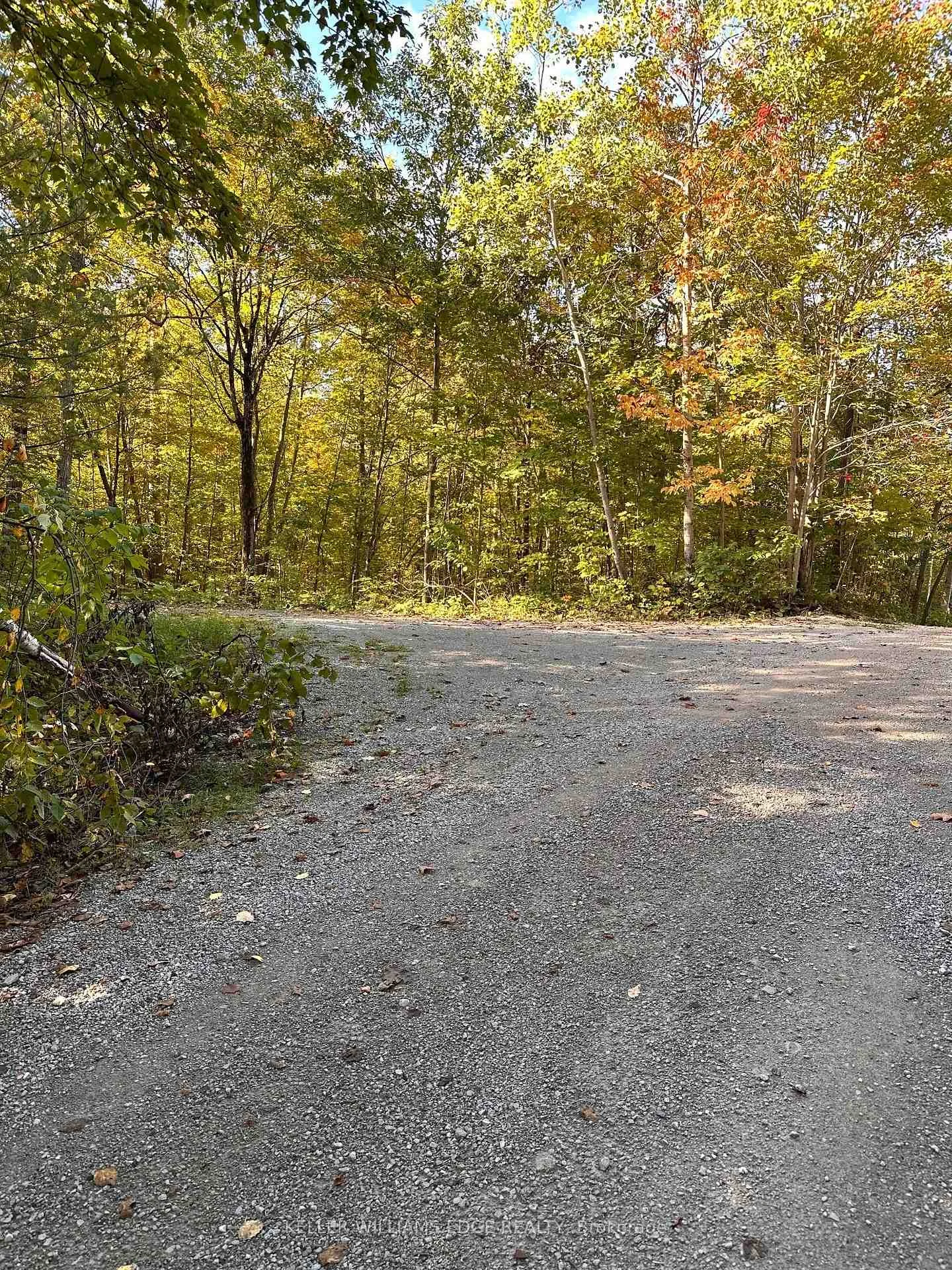 Photo 5 of 216 Smooth Rock Road, Georgian Bay, Baxter — HOMEH