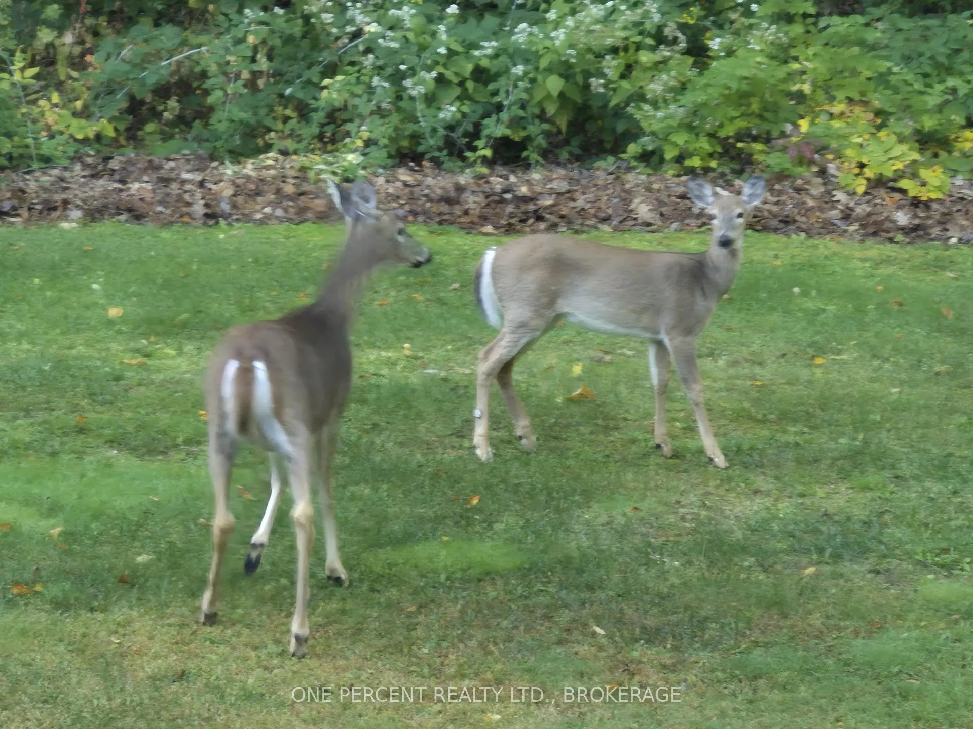 Photo 9 of 1577 Norway Road, Frontenac, Frontenac South — HOMEH