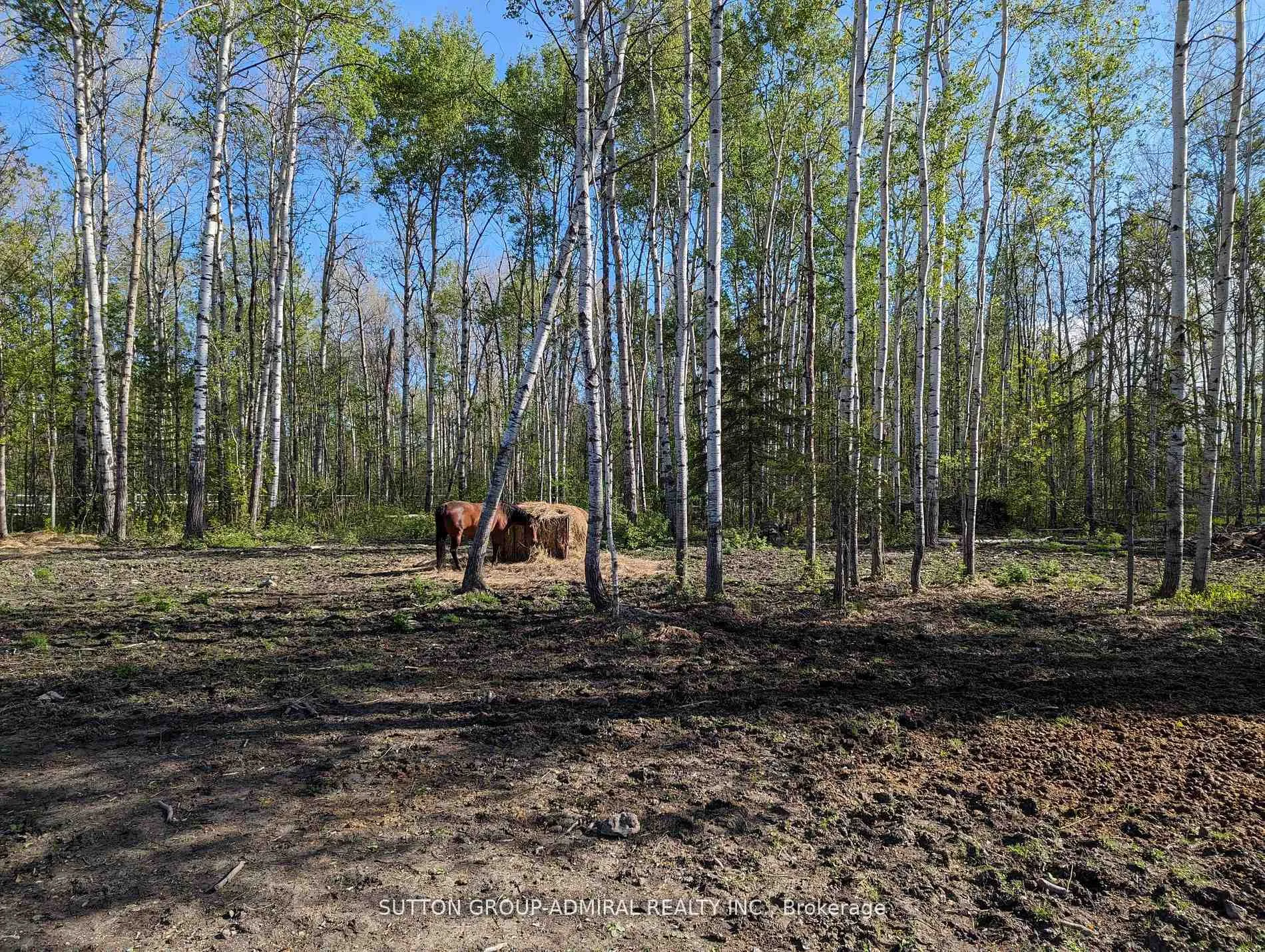 Photo 7 of 227005 Brentha Road, Englehart, Central Timiskaming — HOMEH