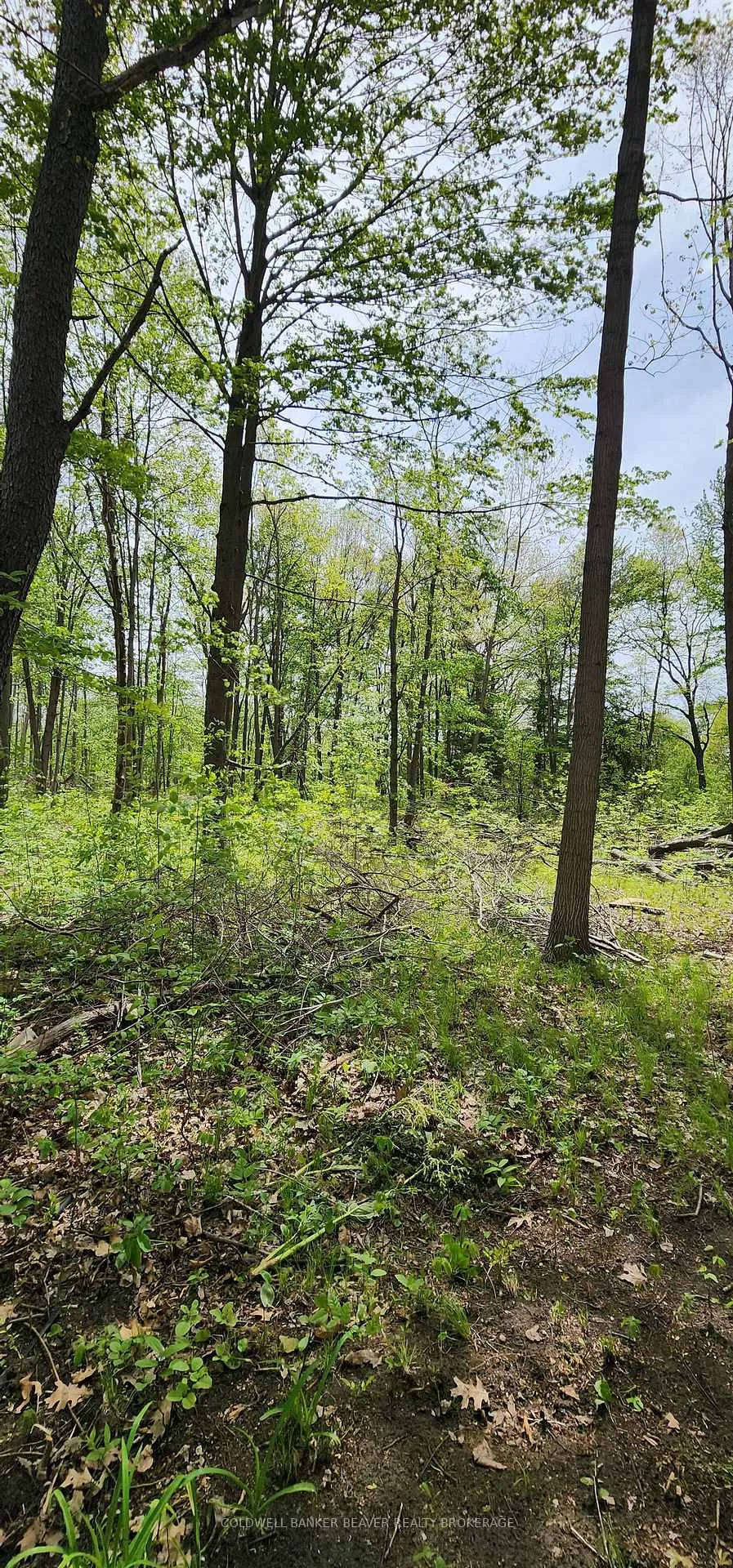 Photo 24 of Unit 13, 22790 Amiens Road, Middlesex Centre, Rural Middlesex Centre — HOMEH