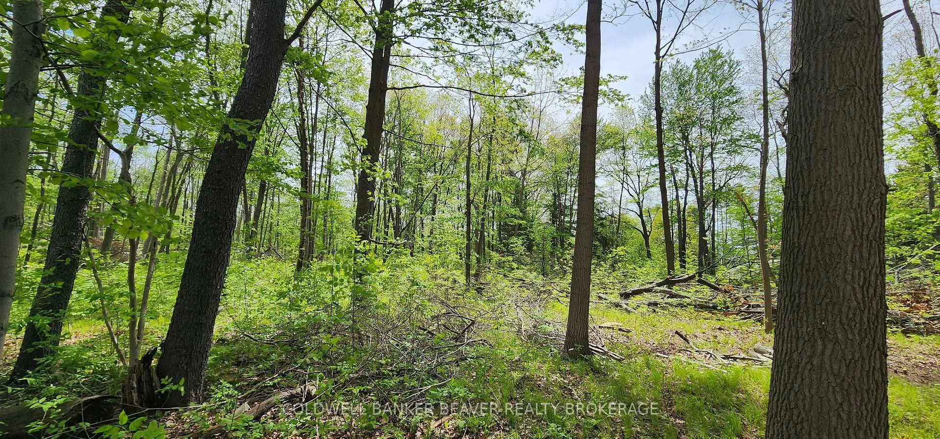 Photo 25 of Unit 13, 22790 Amiens Road, Middlesex Centre, Rural Middlesex Centre — HOMEH