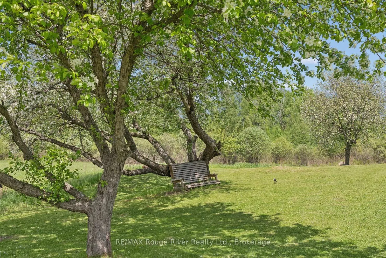 Photo 30 of 312 Boyd Road, Marmora and Lake, Marmora Ward — HOMEH