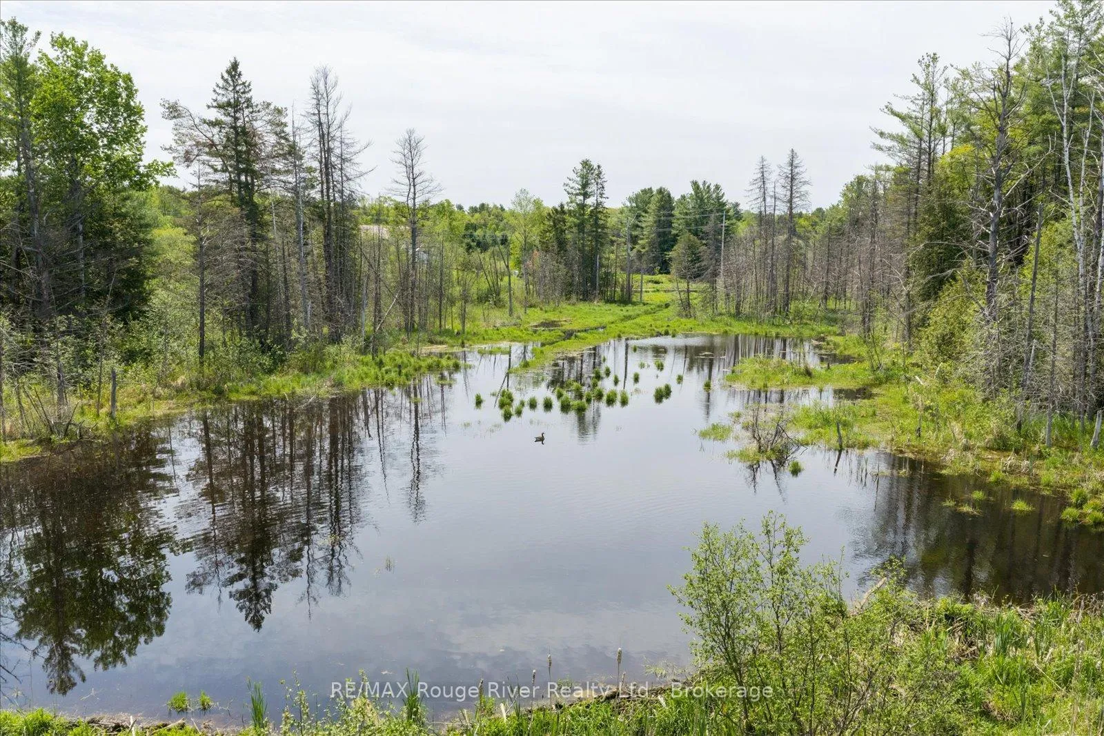 Photo 32 of 312 Boyd Road, Marmora and Lake, Marmora Ward — HOMEH