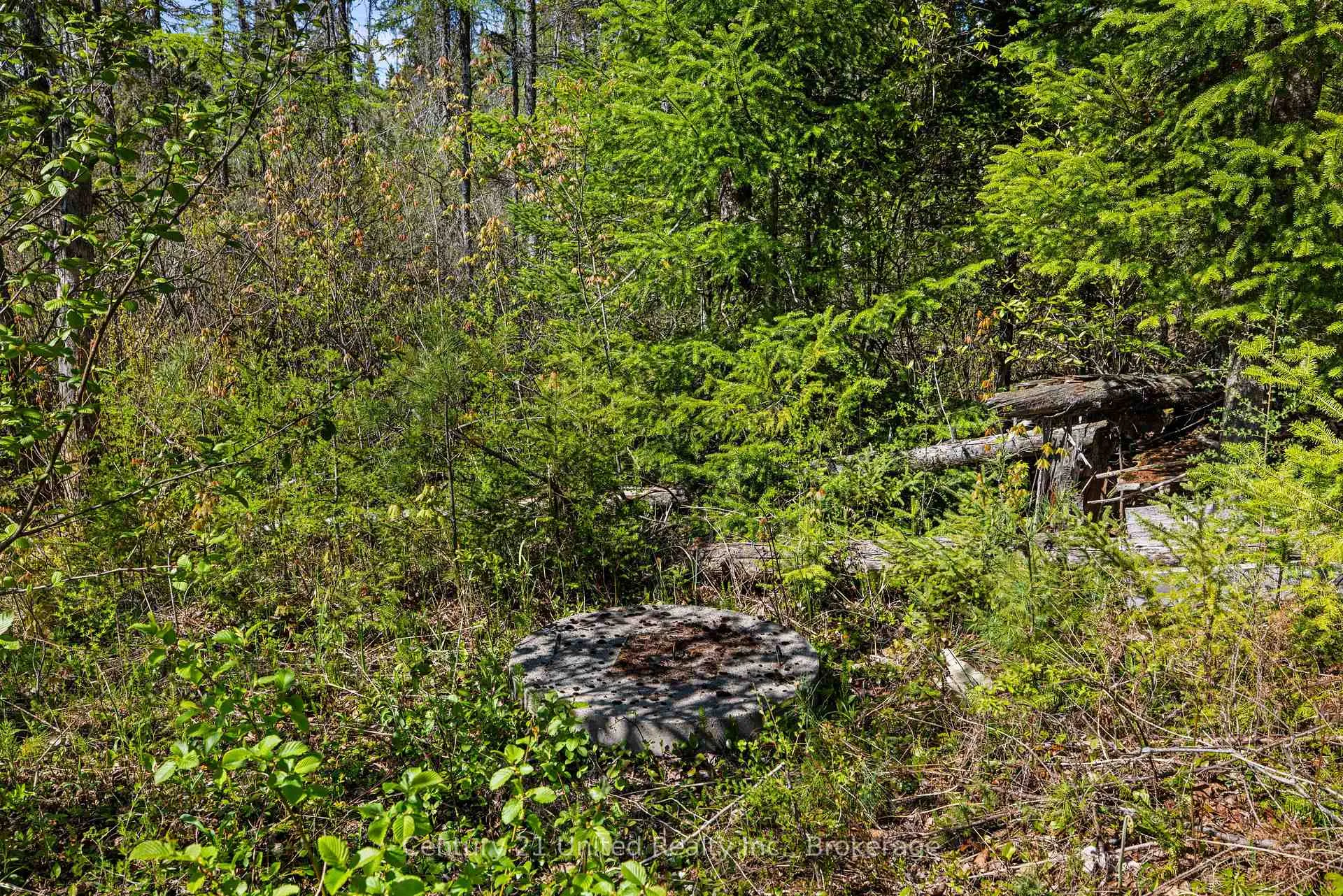 Photo 10 of 573 Jack Lake Road, North Kawartha — HOMEH