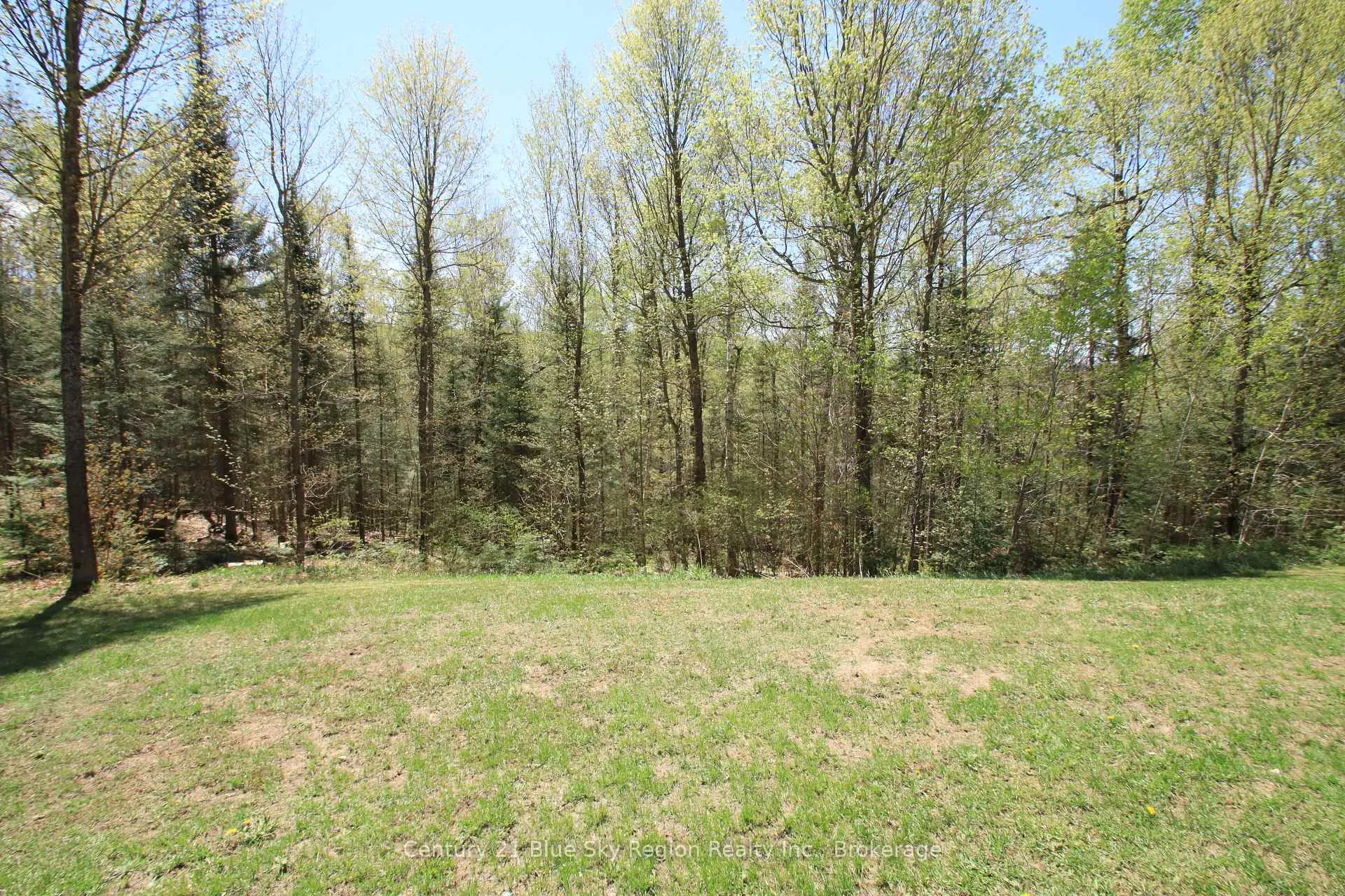 Photo 6 of 120 Forestry Road N, Powassan, Trout Creek — HOMEH