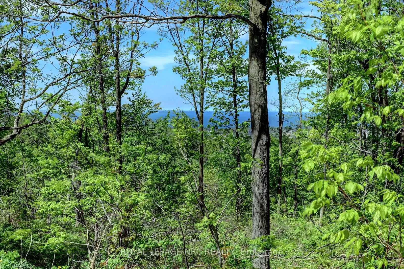 Photo 44 of 44 Fifty Road, Hamilton, Rural Stoney Creek — HOMEH