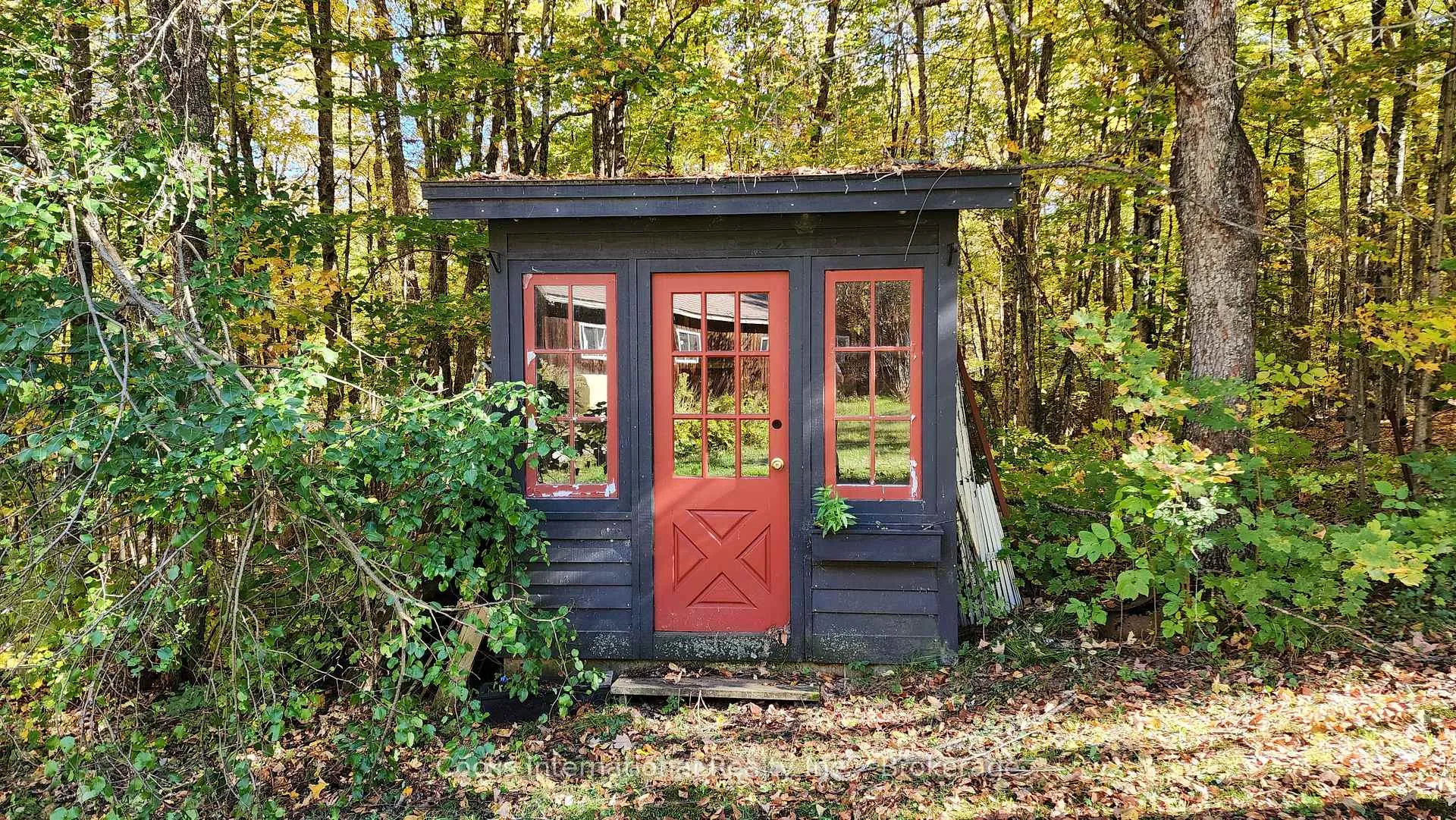 Photo 40 of 205 Lockes Road, Perry, Novar — HOMEH
