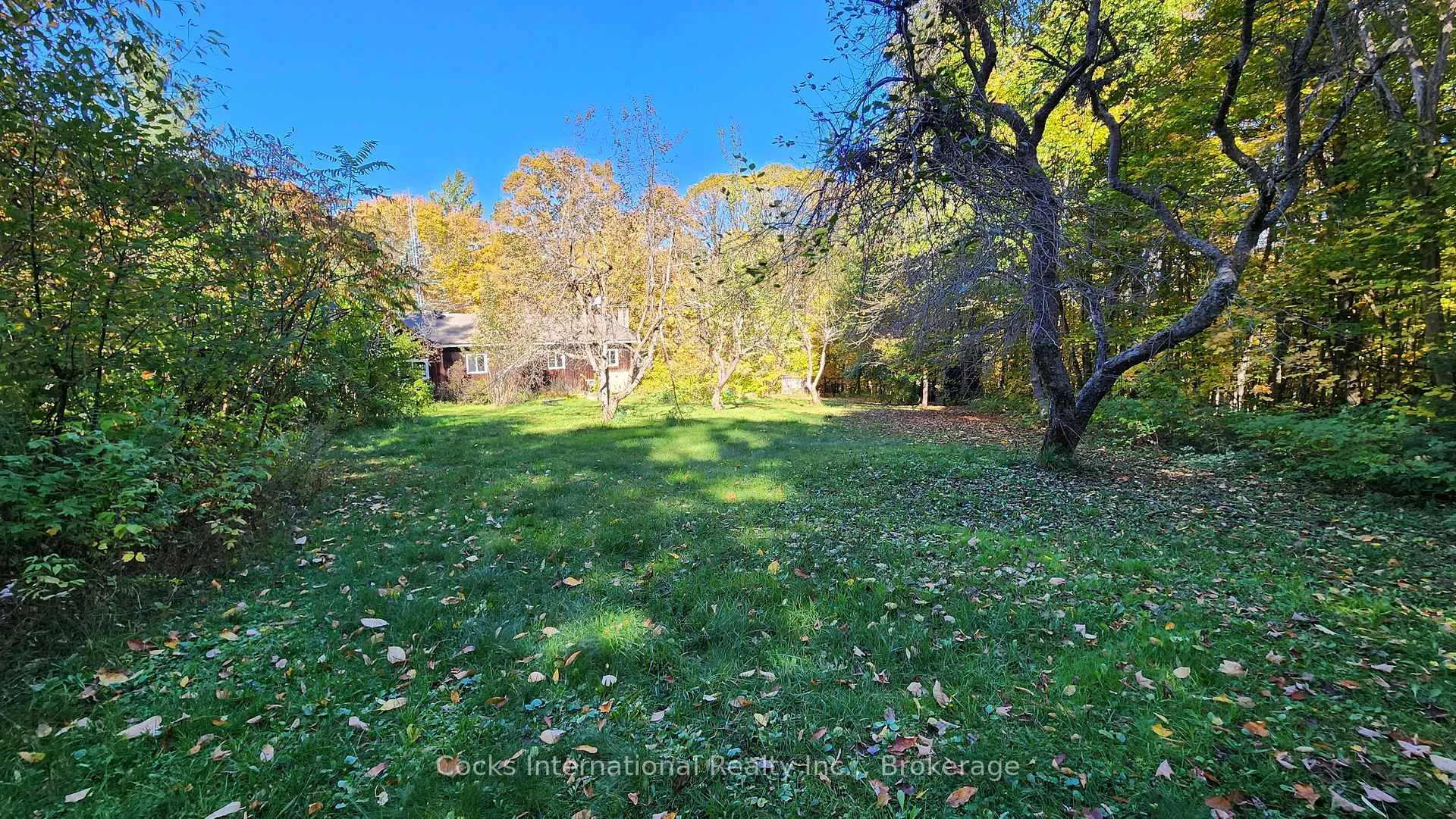 Photo 41 of 205 Lockes Road, Perry, Novar — HOMEH