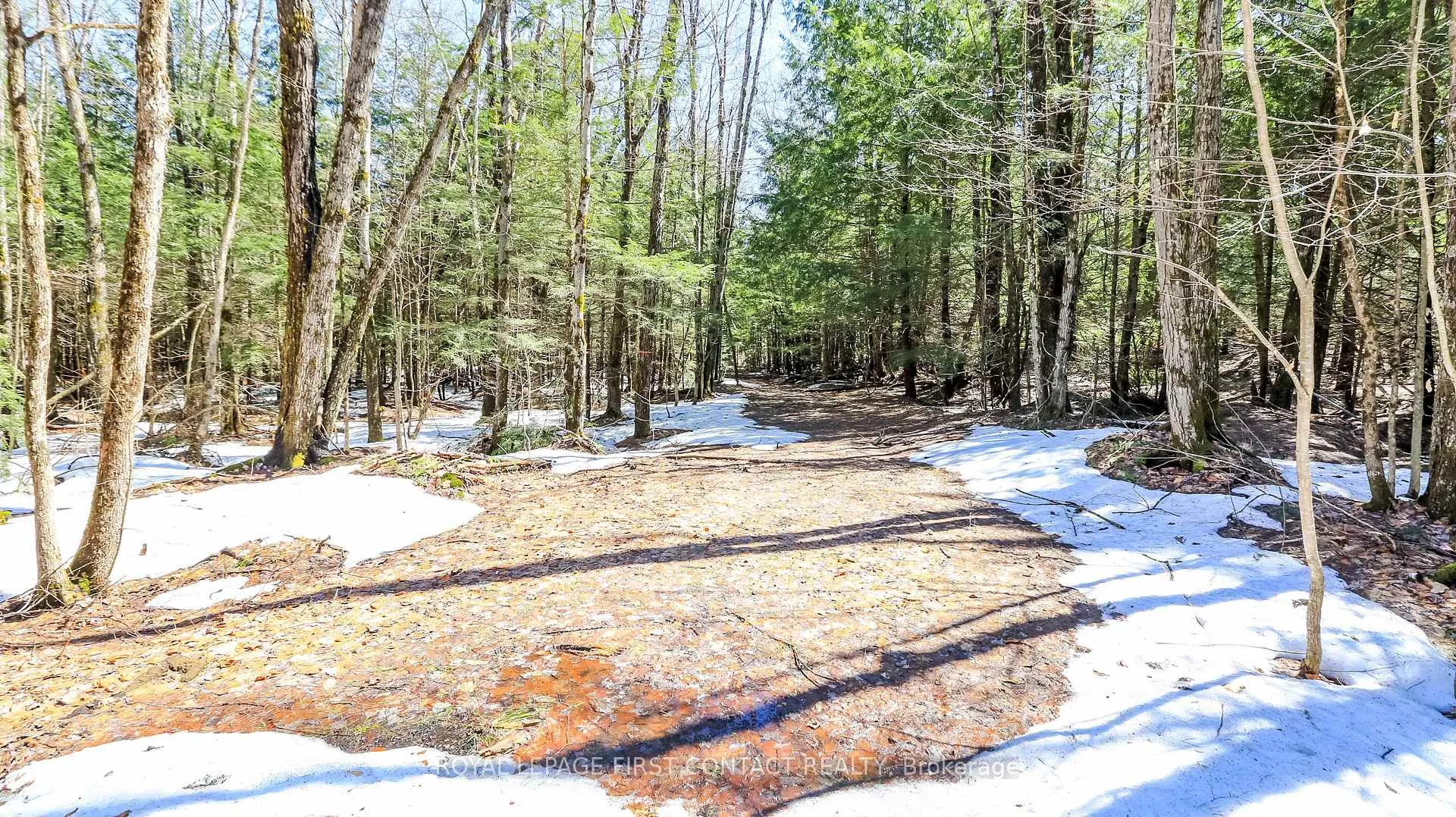 Photo 6 of 1518 Lone Pine Drive, Bracebridge, Macaulay — HOMEH