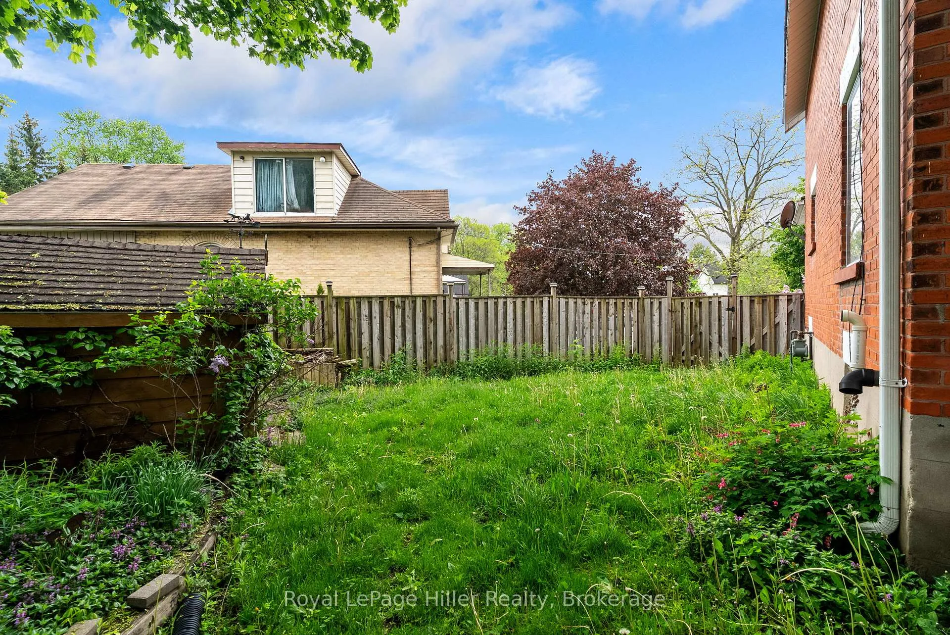 Photo 38 of 211 Nelson Street, Stratford — HOMEH