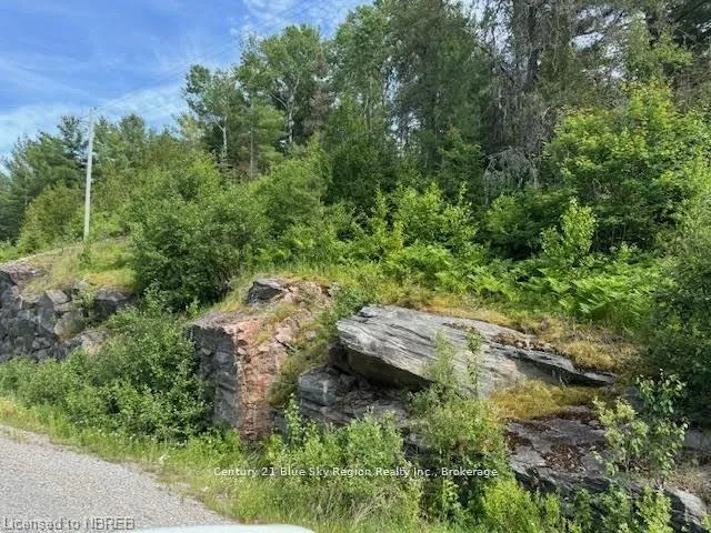 Photo 5 of PT LT 5 CON 5 575 Highway, West Nipissing, Field — HOMEH