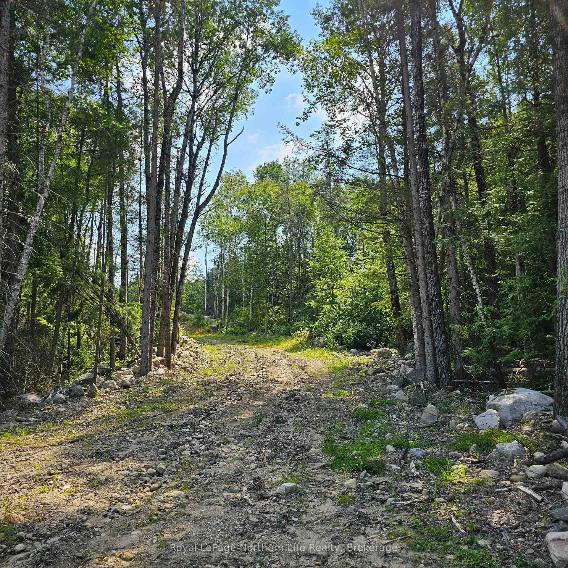 Photo 15 of 1261 Snake Creek Road, Mattawan — HOMEH