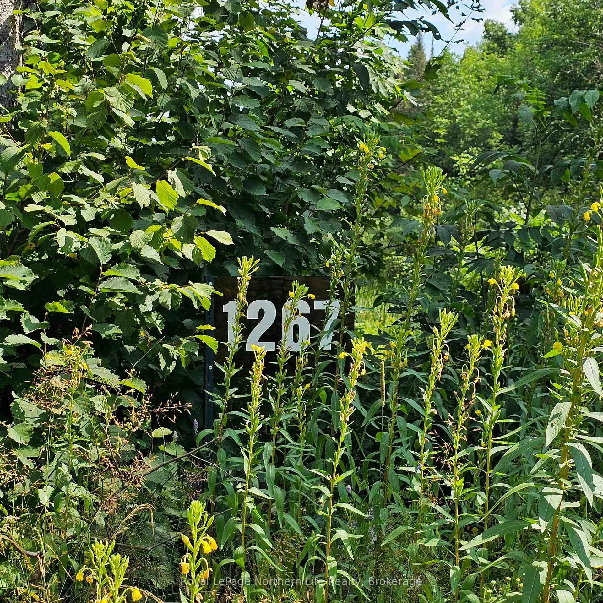 Photo of 1267 Snake Creek Road