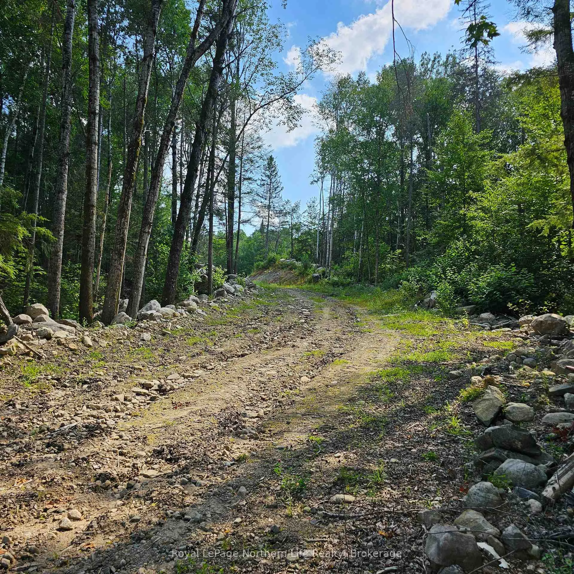 Photo 13 of 1267 Snake Creek Road, Mattawan — HOMEH