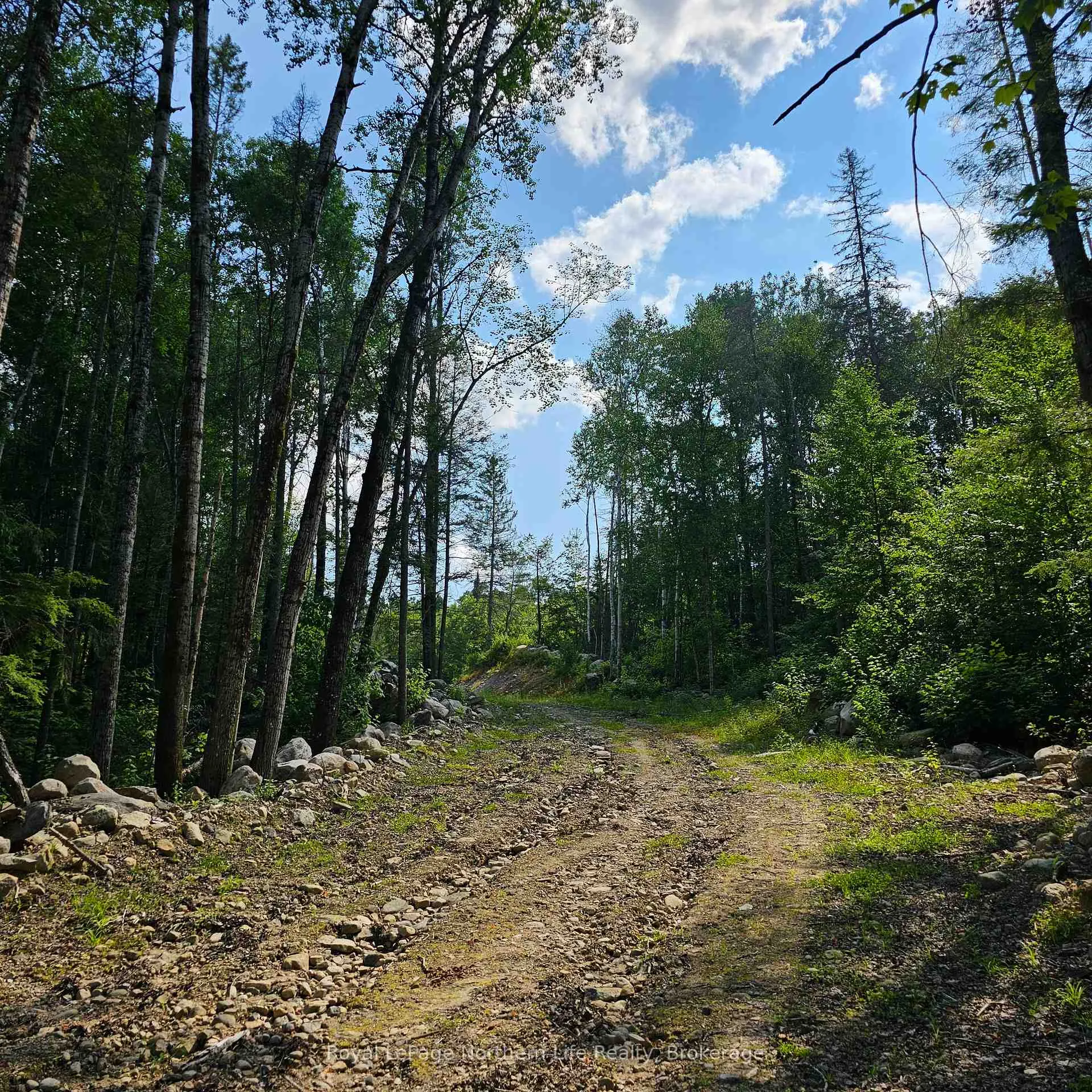 Photo 14 of 1267 Snake Creek Road, Mattawan — HOMEH