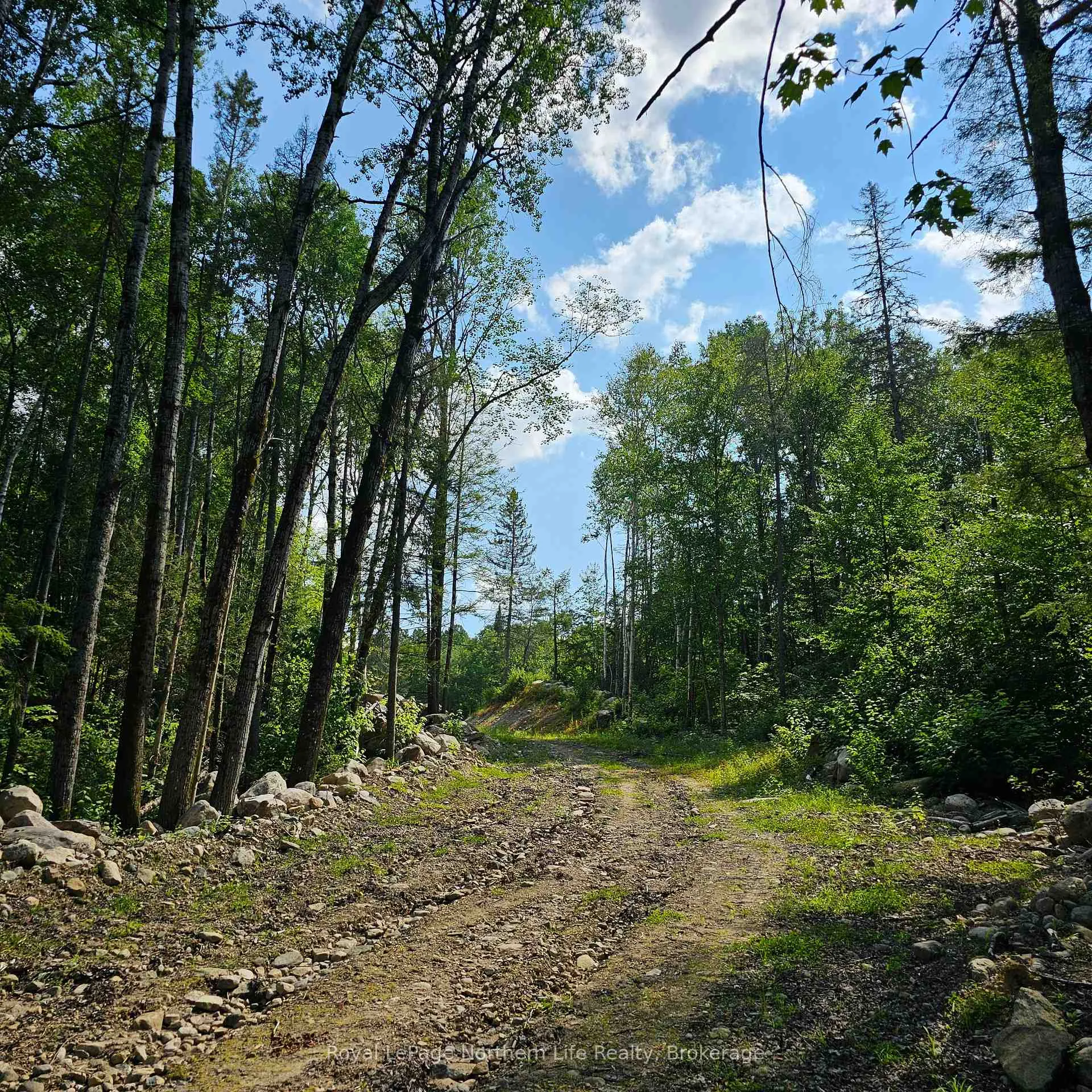 Photo 15 of 1267 Snake Creek Road, Mattawan — HOMEH