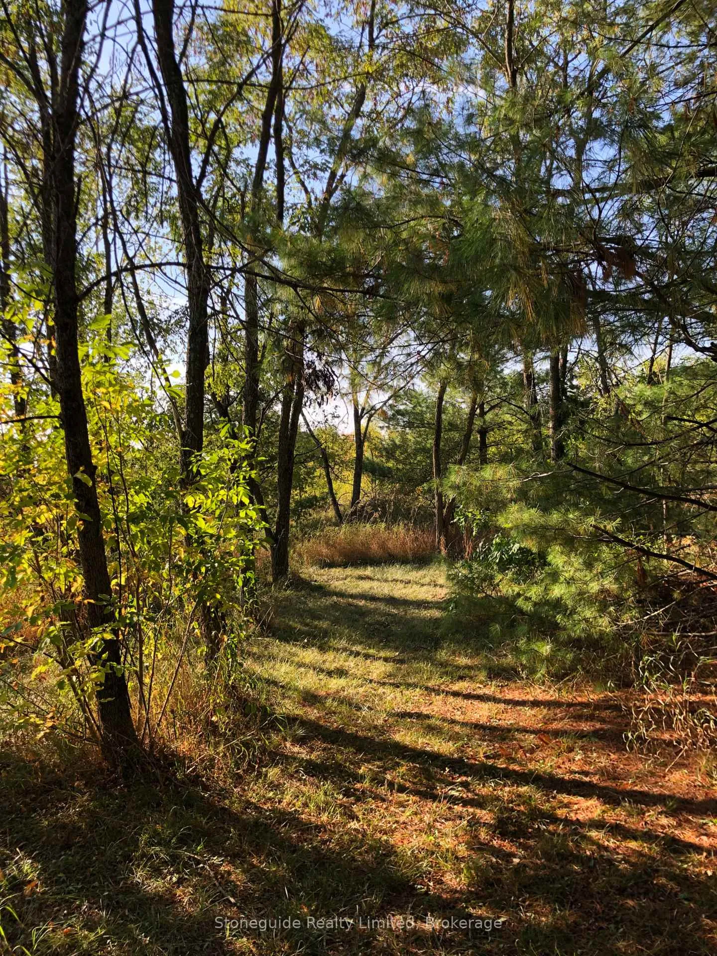 Photo 62 of 2509 12th Line, Selwyn — HOMEH