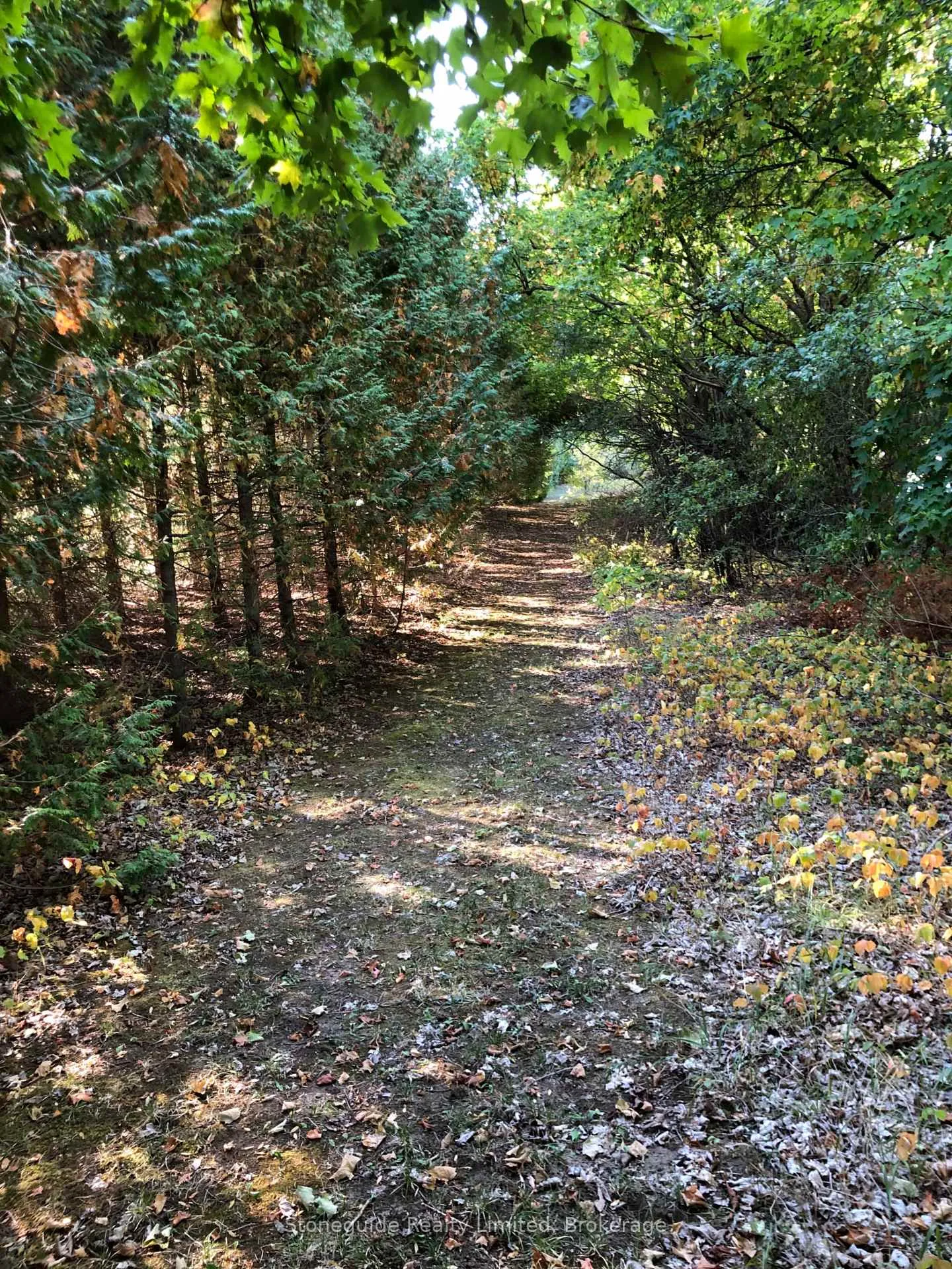 Photo 64 of 2509 12th Line, Selwyn — HOMEH