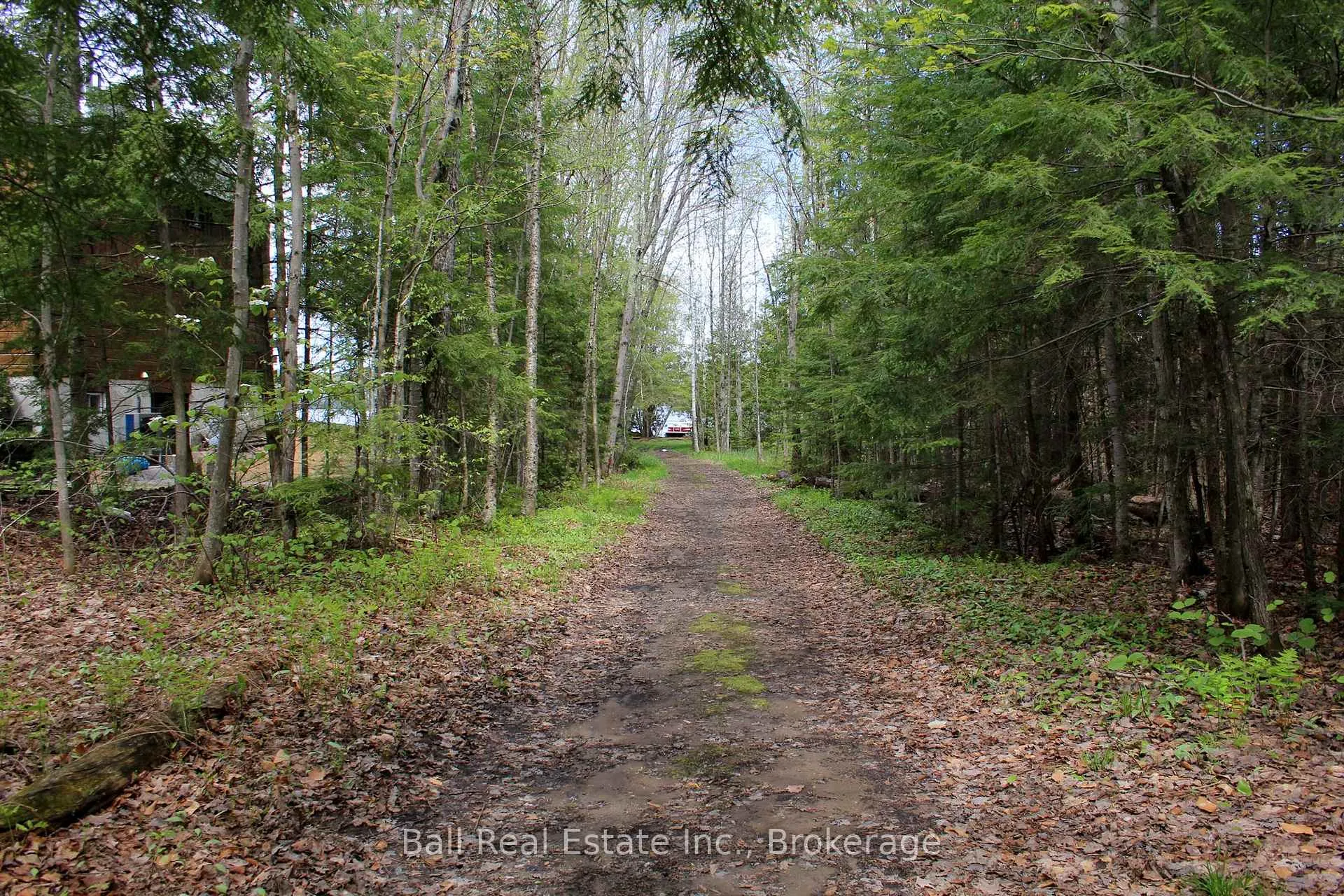 Photo 38 of 495 Forest View Road, Hastings Highlands, Herschel Ward — HOMEH