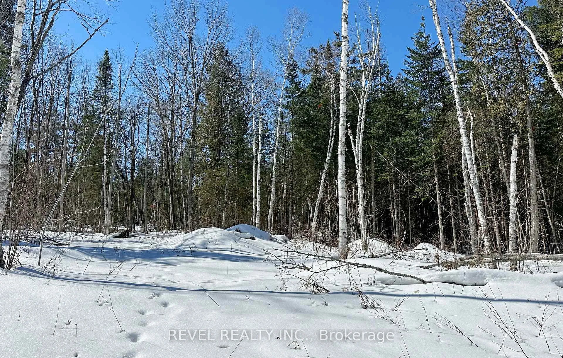 Photo 3 of 77 McNevan Drive, Kawartha Lakes, Fenelon — HOMEH