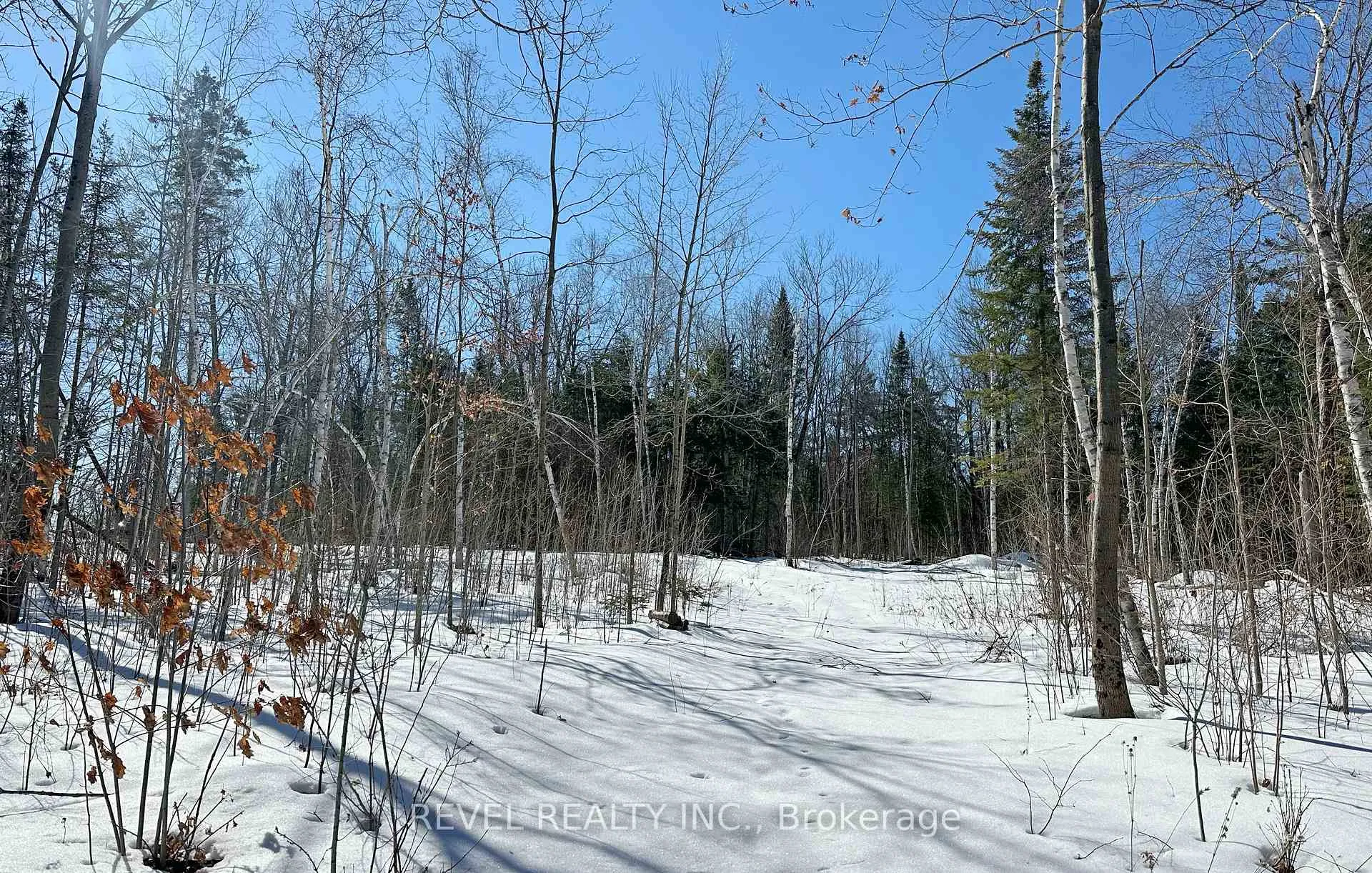 Photo 4 of 77 McNevan Drive, Kawartha Lakes, Fenelon — HOMEH
