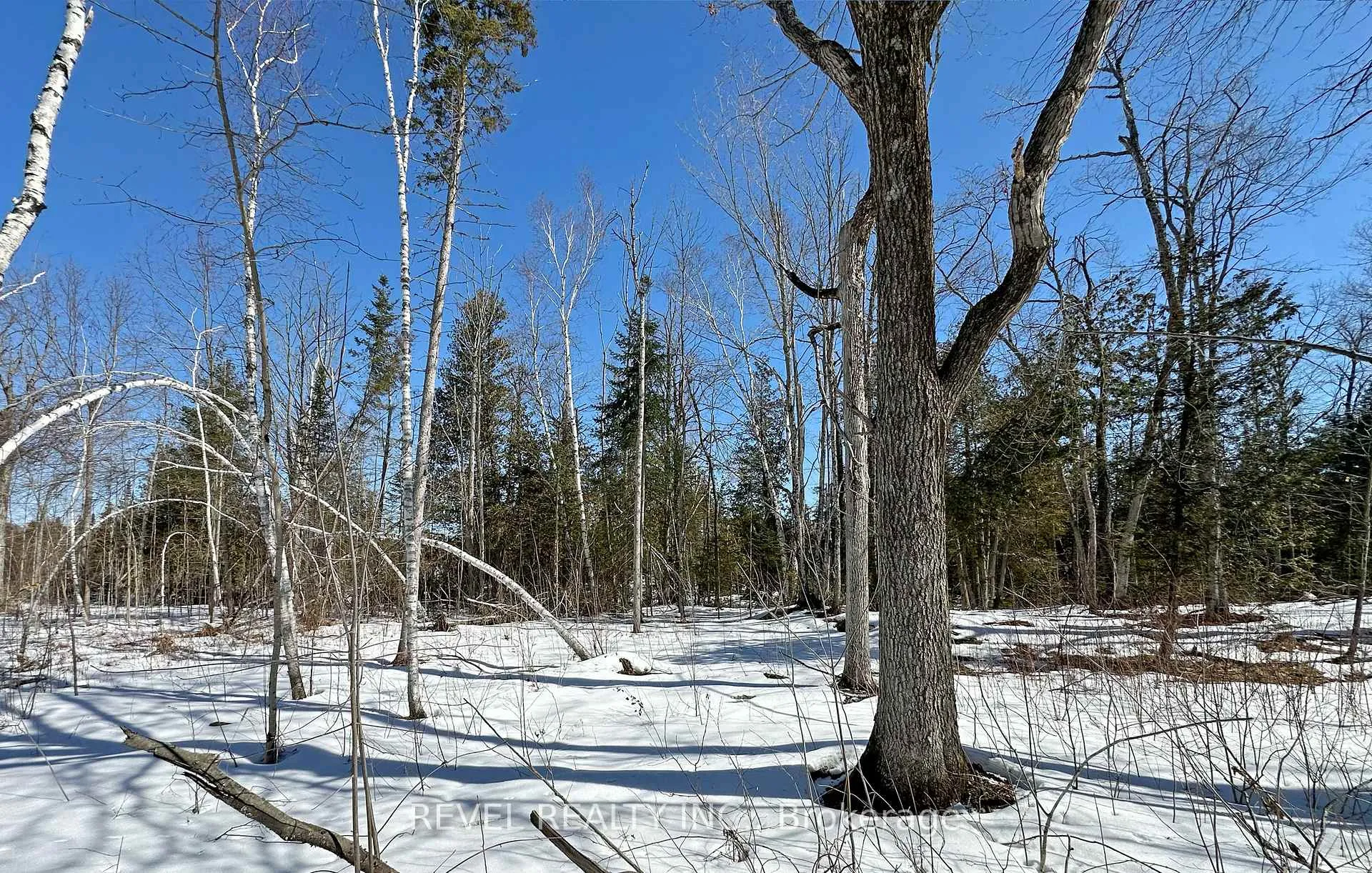 Photo 5 of 77 McNevan Drive, Kawartha Lakes, Fenelon — HOMEH